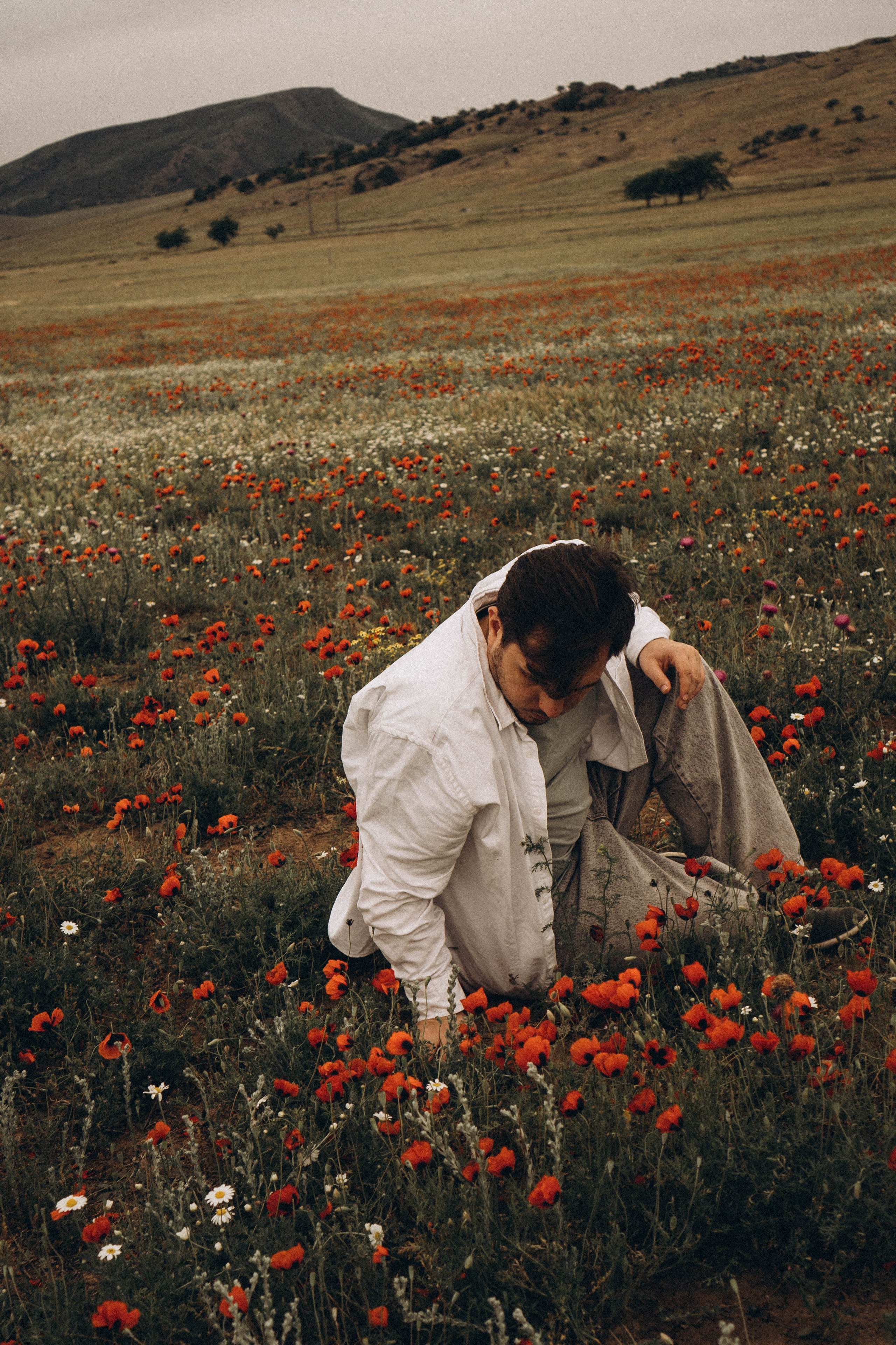 Маки. Профессиональный фотограф, Санкт-Петербург — Виктория Богомолова