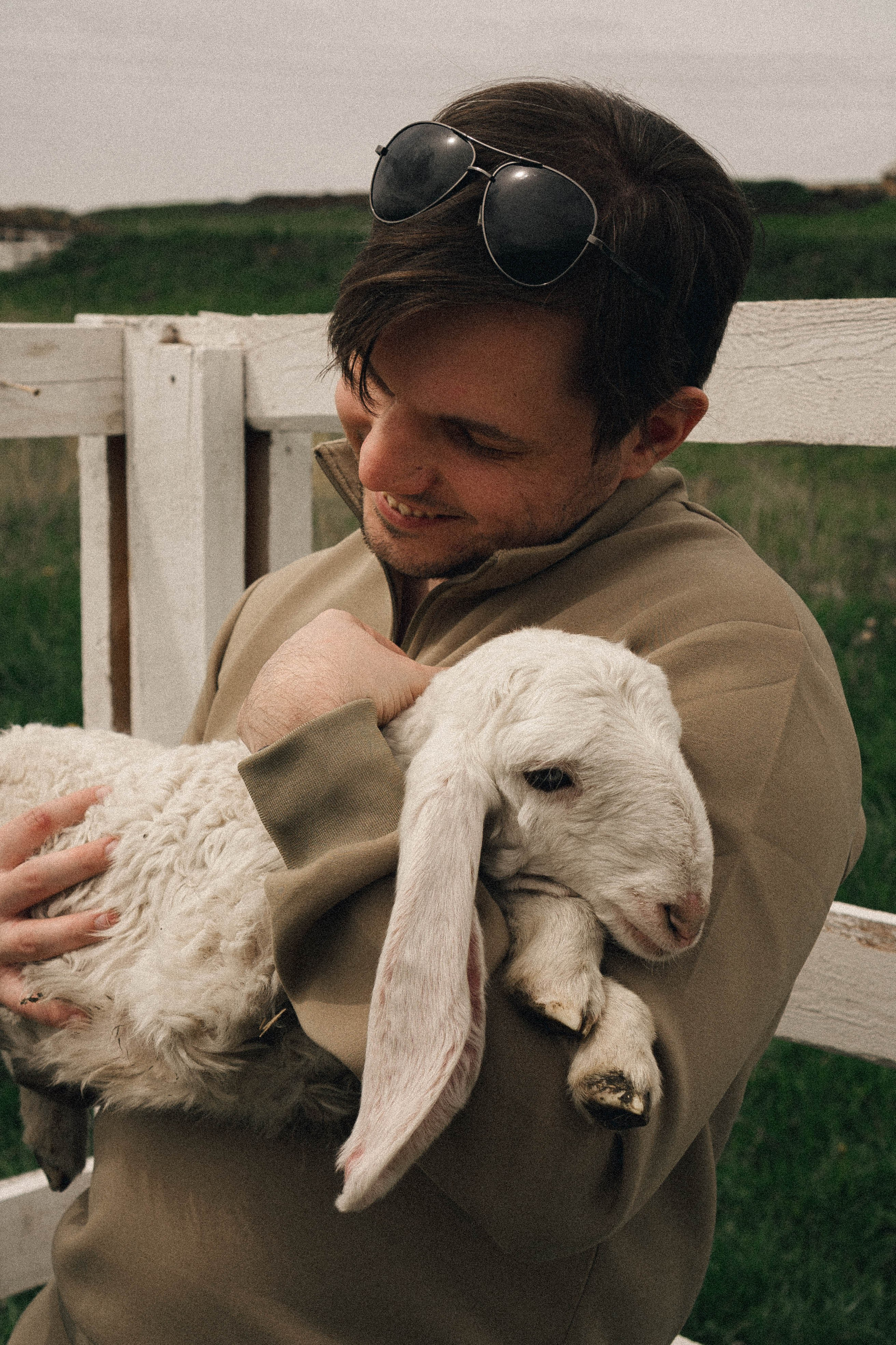 Ферма Альпак. Профессиональный фотограф, Санкт-Петербург — Виктория Богомолова