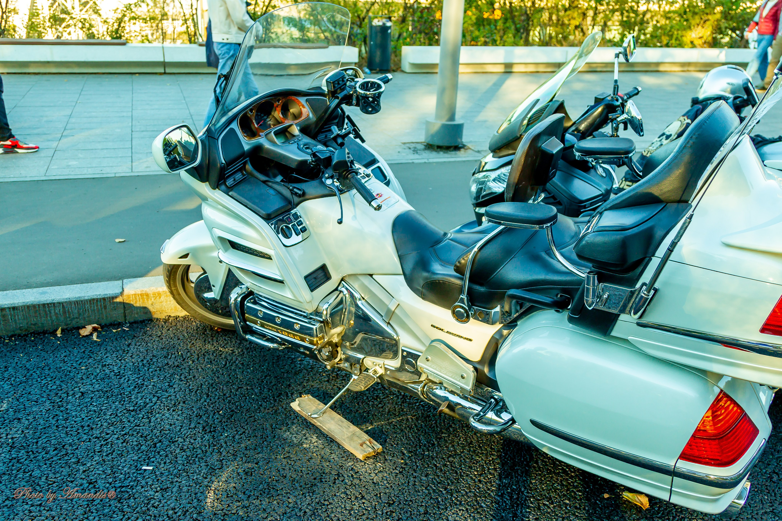 ЗАкрытие мотосезона 2024. Репортажная съемка в Москве и области. Анималистика