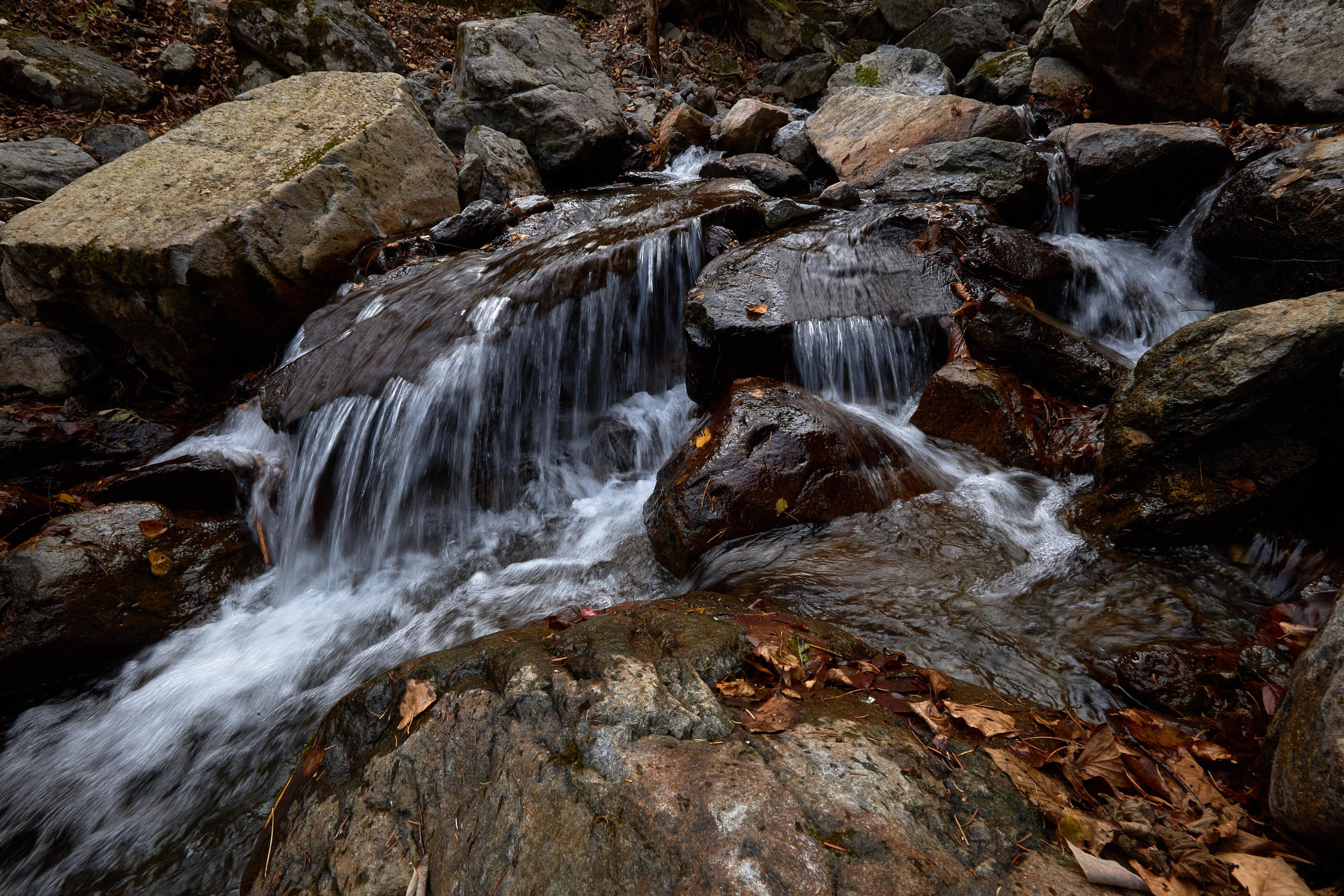 Пейзаж. Репортажный Фотограф во Владивостоке и России Осипчук Дмитрий