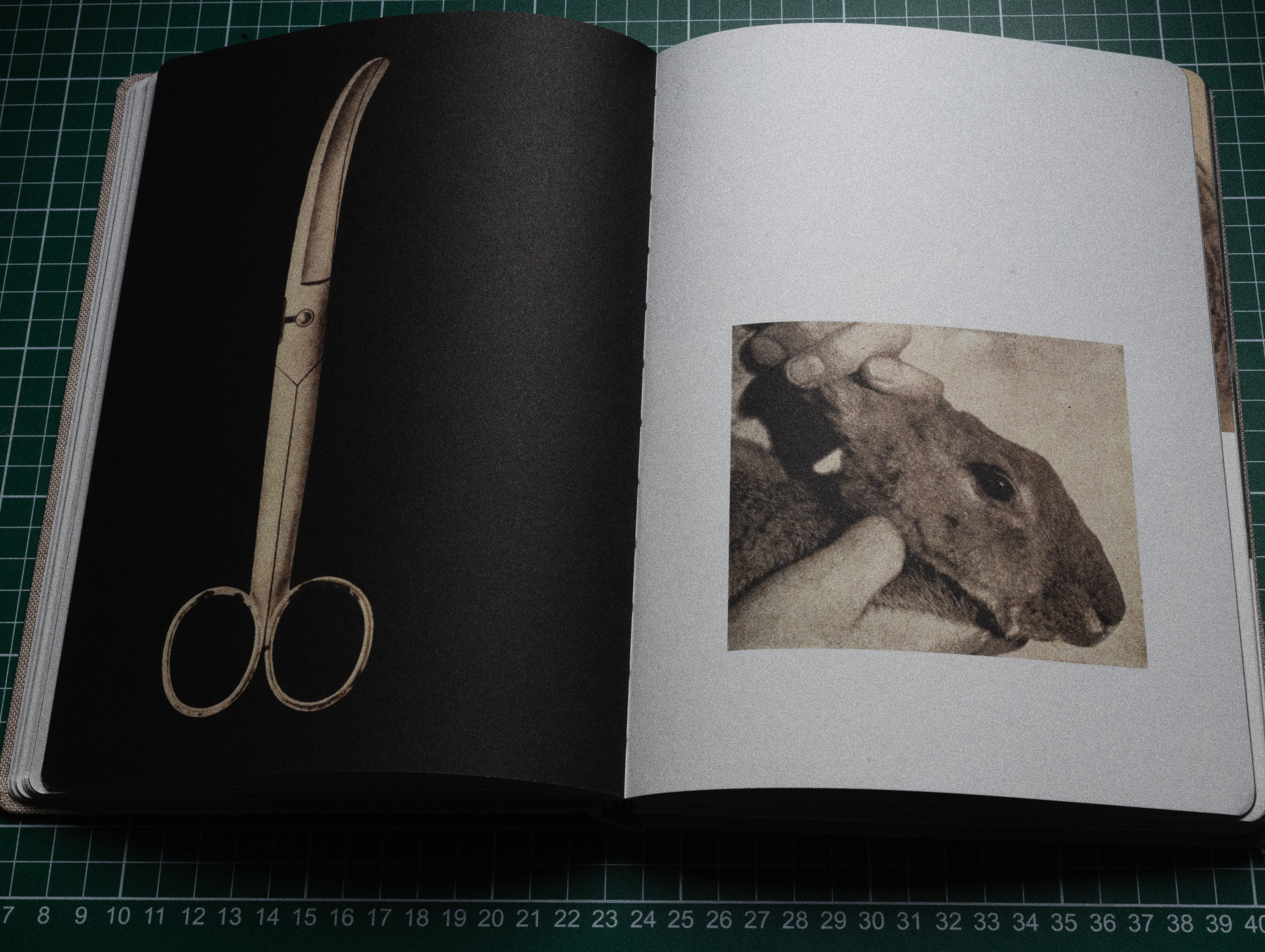 Фотокнижная библиотека Светы Кавериной. Фотограф и исследователь фотографии из Санкт-Петербурга Елизавета Веприцкая