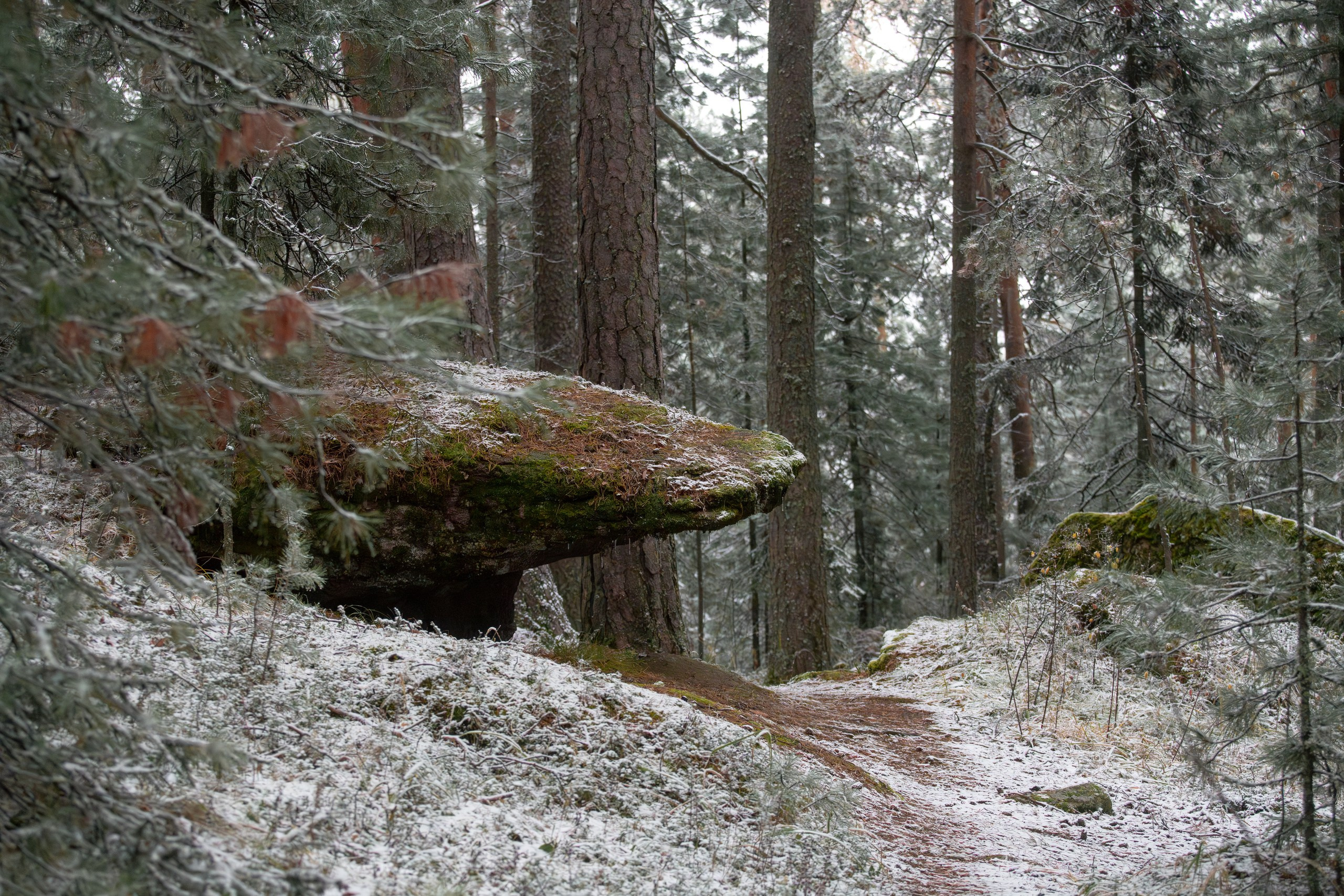 Красноярские Столбы. Фотограф в Красноярске Нерозя Александр. Пейзаж, природа, портрет