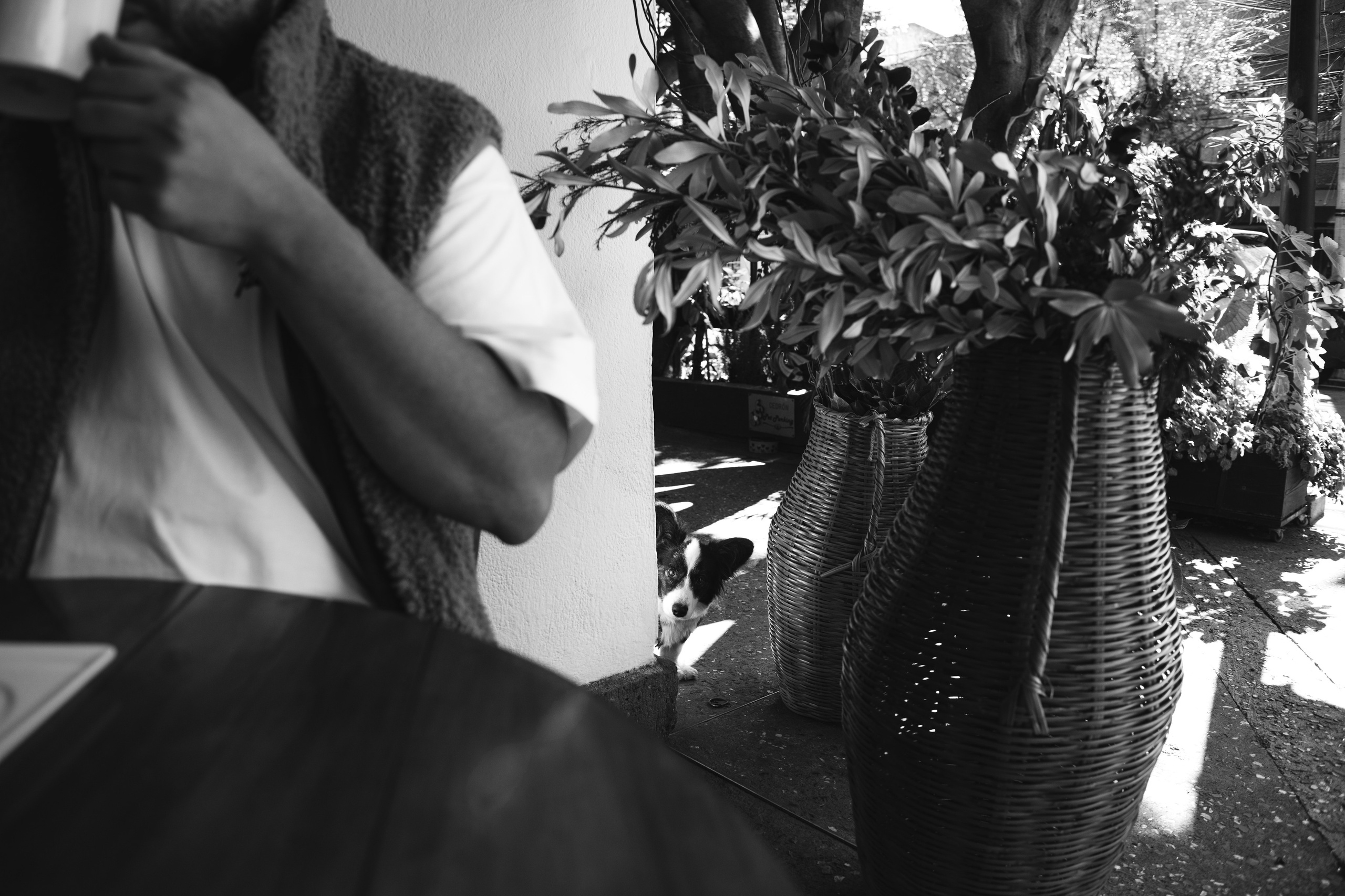 Pyotr. Irina Krokhaleva. Fotógrafa de familias y parejas en Ekaterimburg, Rusia