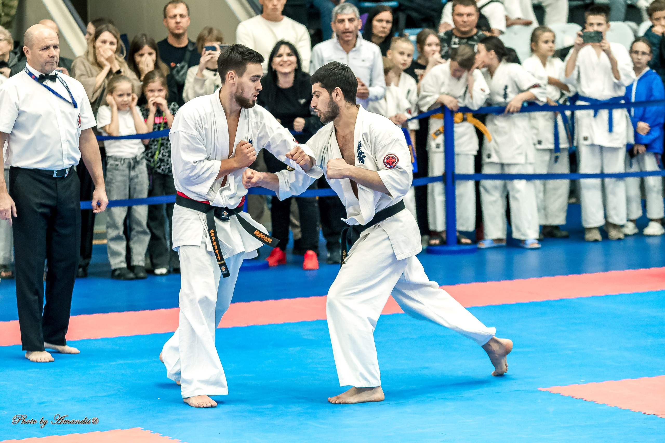 Чемпионат по Киокушинкай Центрального Федерального округа. Репортажная съемка в Москве и области. Анималистика