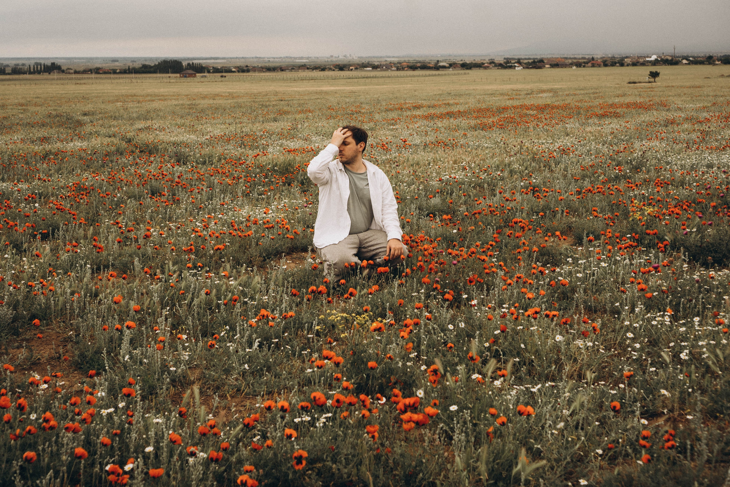Маки. Профессиональный фотограф, Санкт-Петербург — Виктория Богомолова
