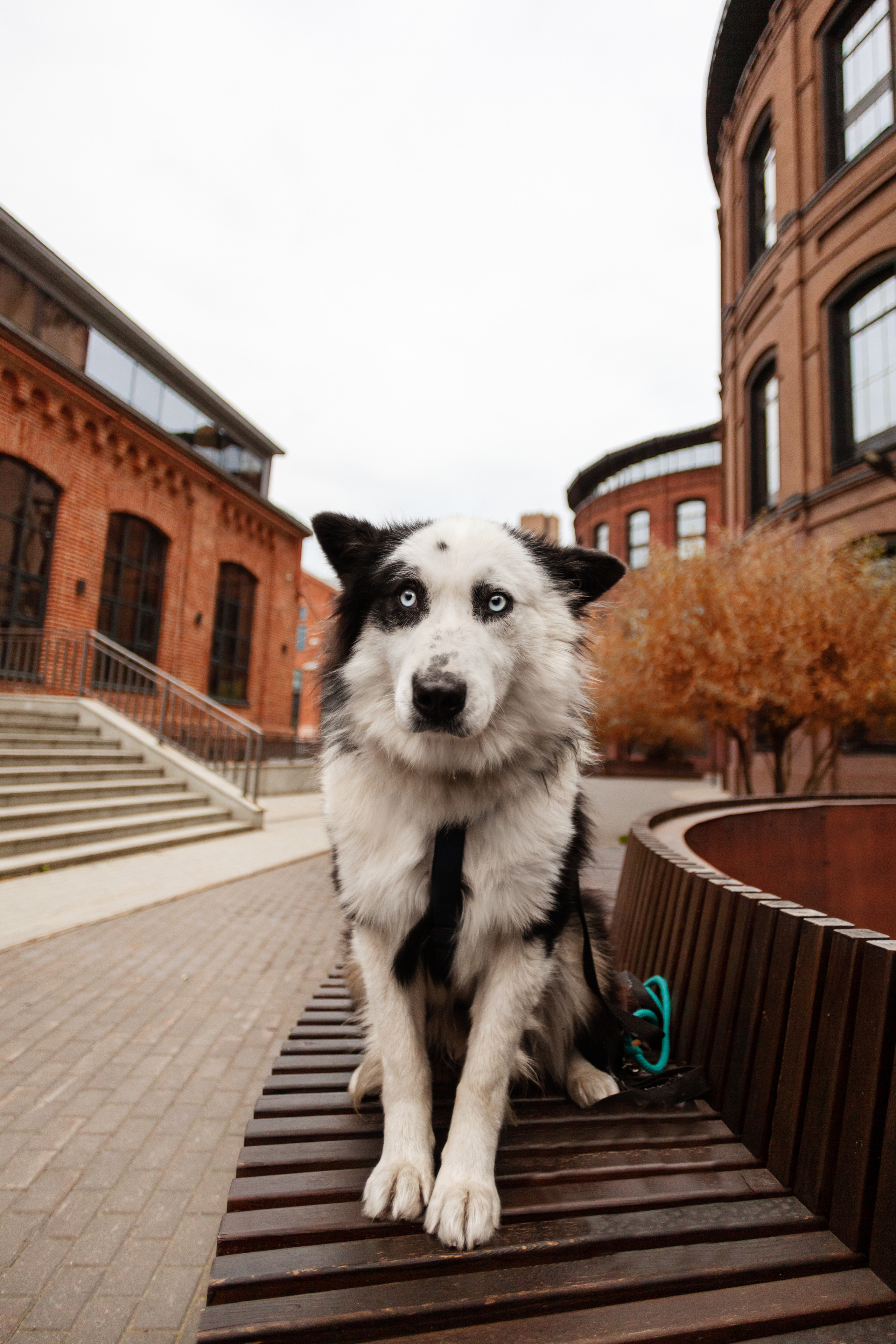 Чех 2022. Фотограф-анималист Татьяна Степанова