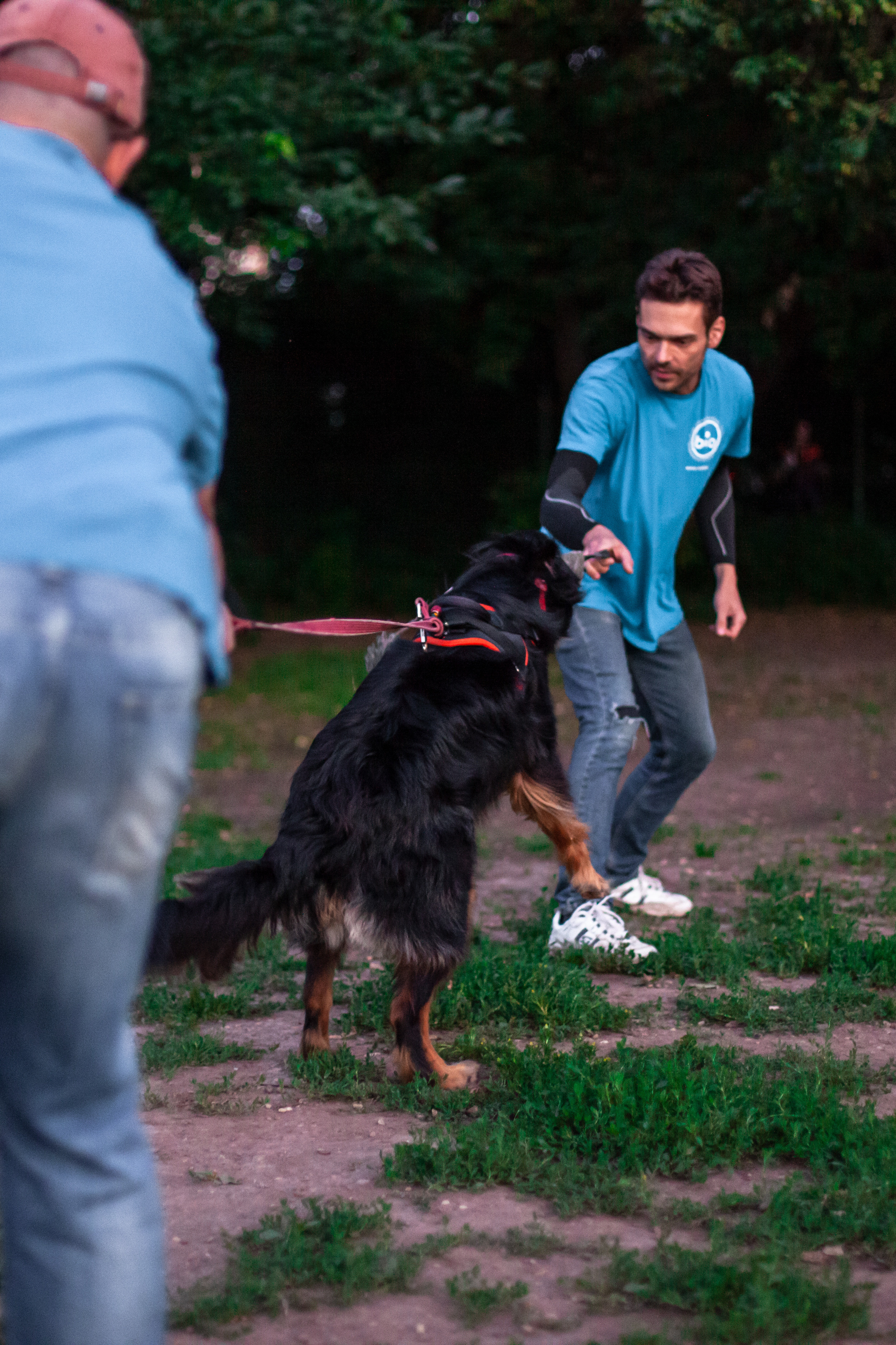 Занятие ЗКС+Выборка 2022. Фотограф-анималист Татьяна Степанова