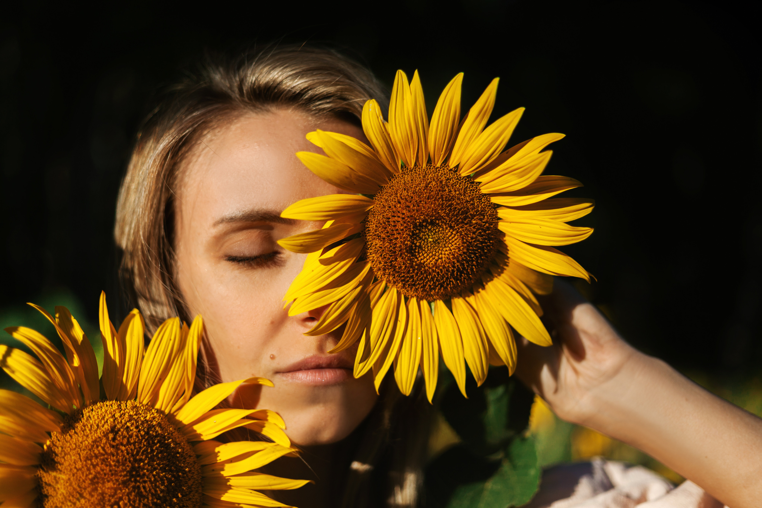 Коломна, стога и подсолнухи. Фотограф-анималист Татьяна Степанова