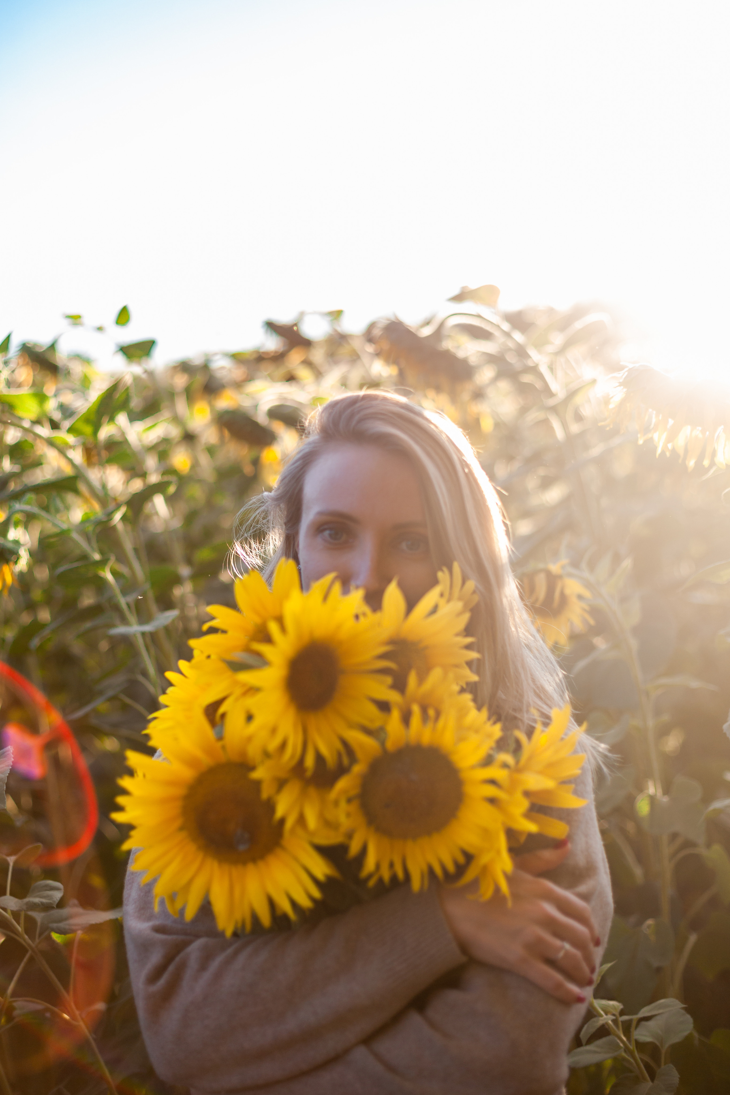Коломна, стога и подсолнухи. Фотограф-анималист Татьяна Степанова