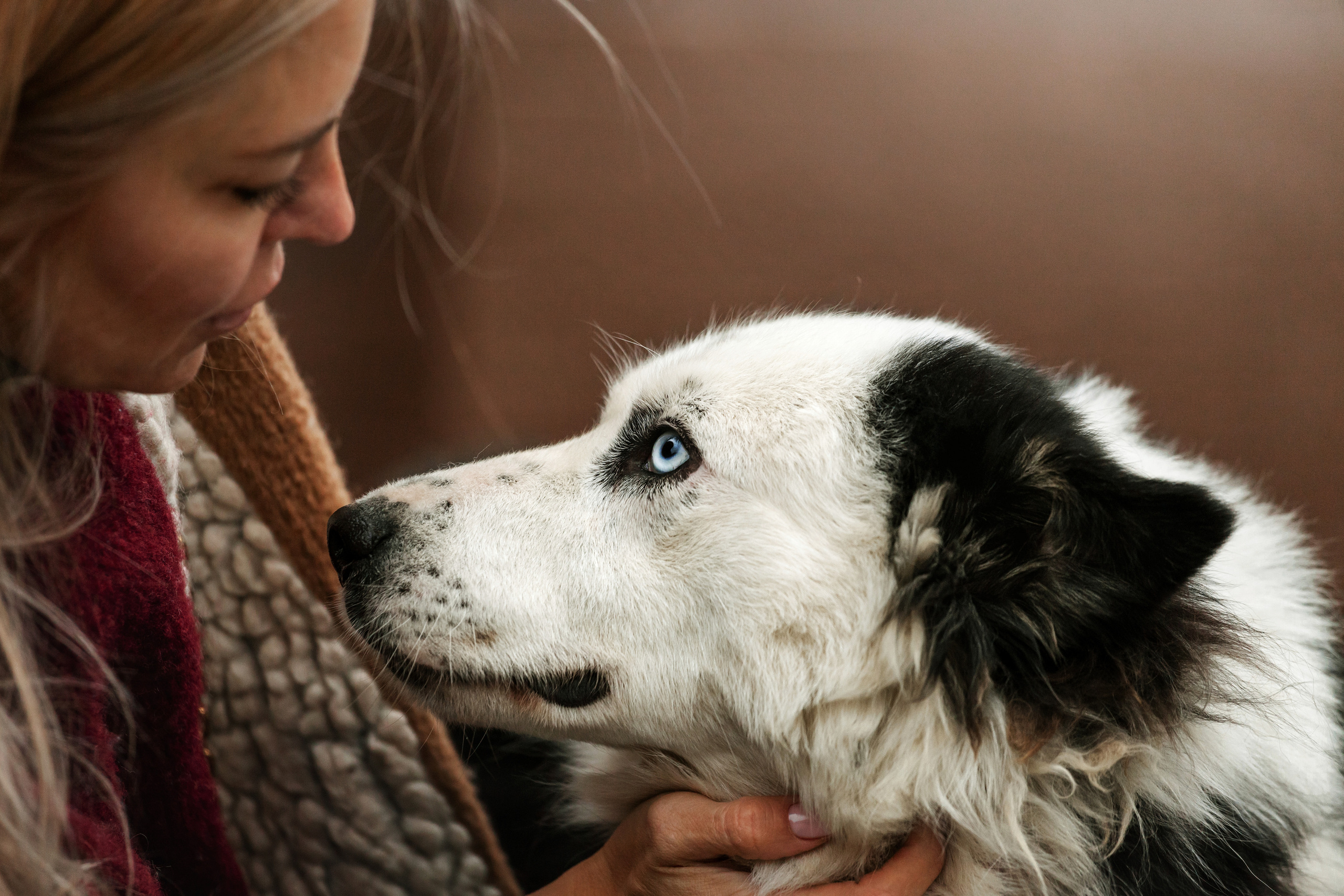 Чех 2022. Фотограф-анималист Татьяна Степанова