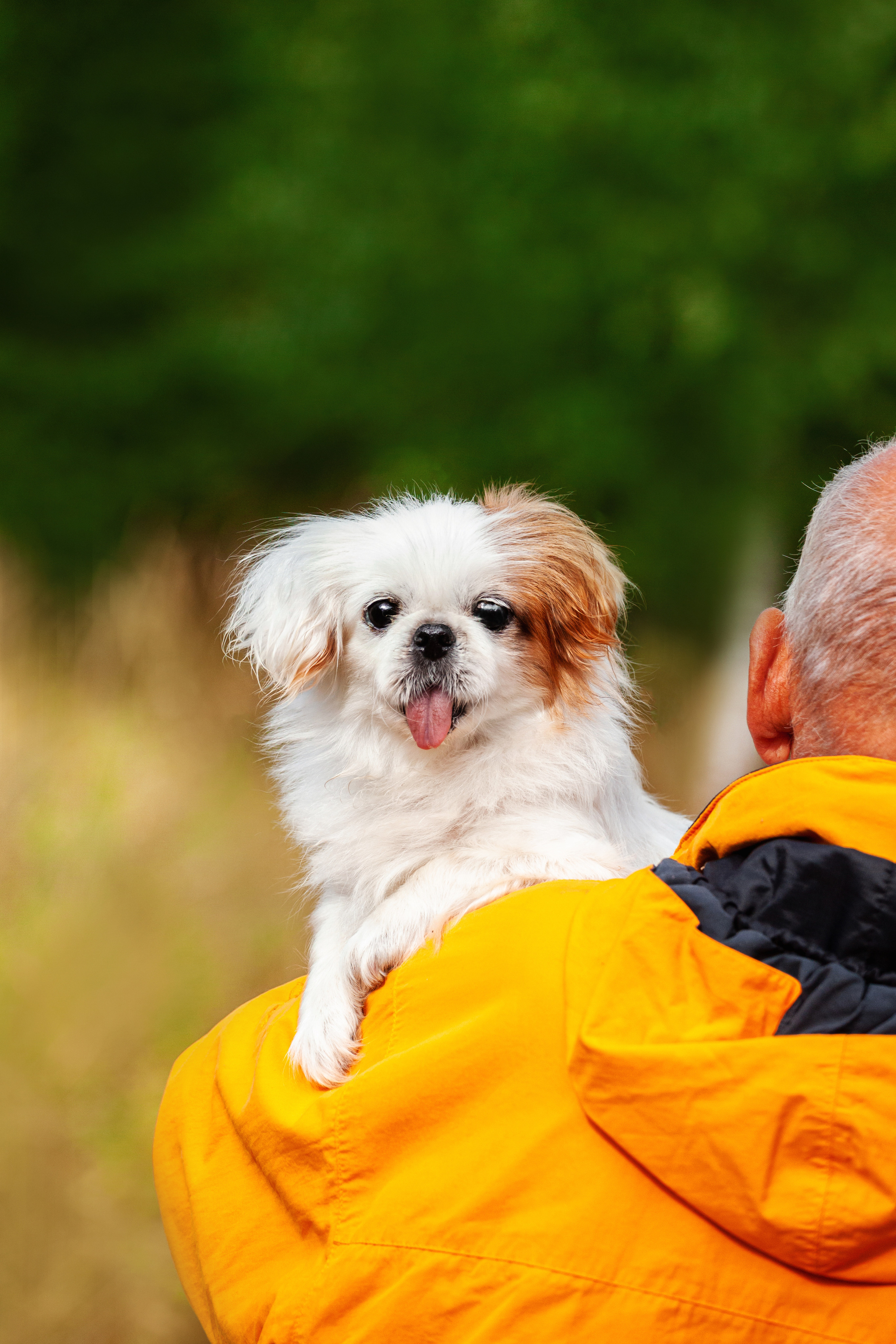 Лукас и Бусинка 2022. Фотограф-анималист Татьяна Степанова