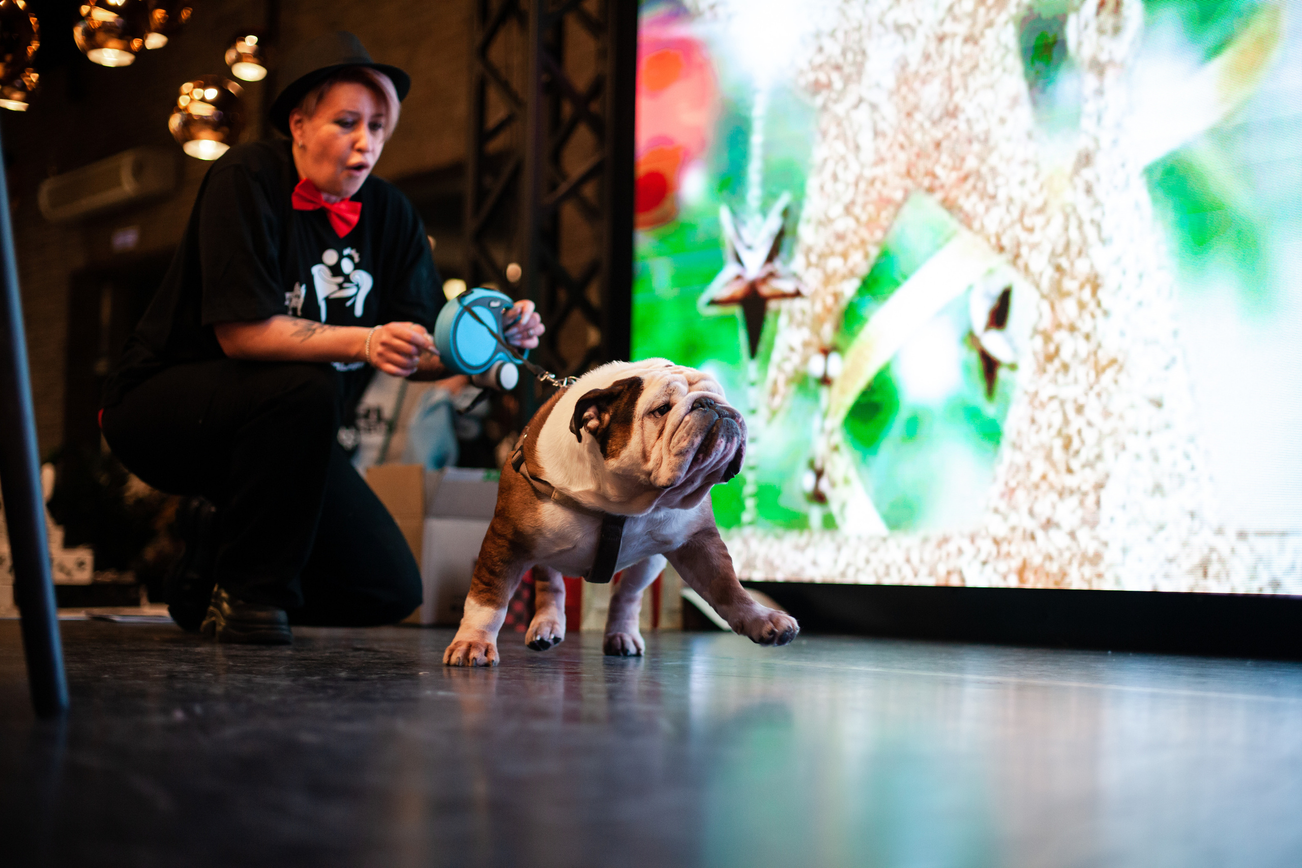 Бульелка 2022. Фотограф-анималист Татьяна Степанова