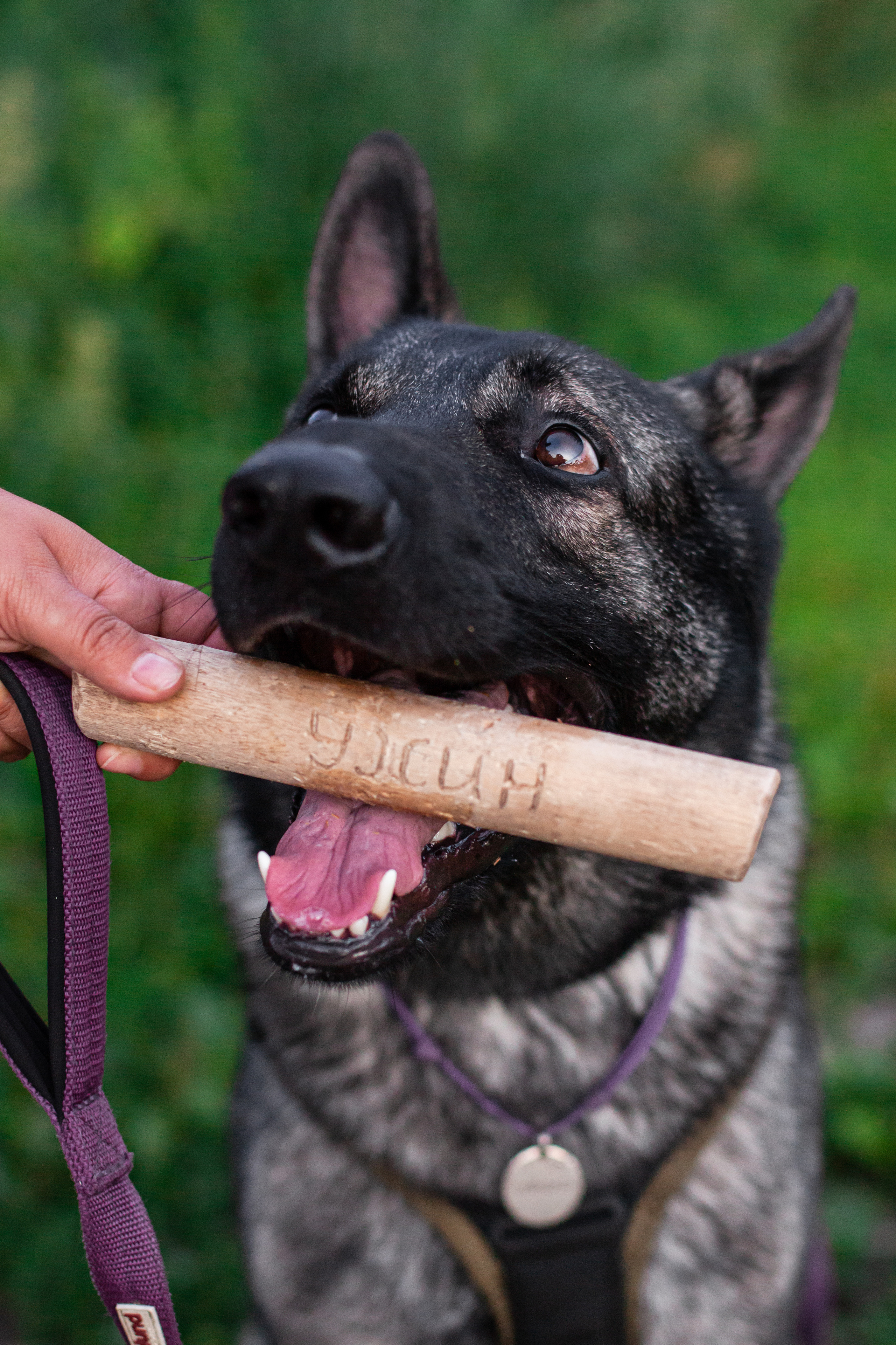 Занятие ЗКС+Выборка 2022. Фотограф-анималист Татьяна Степанова