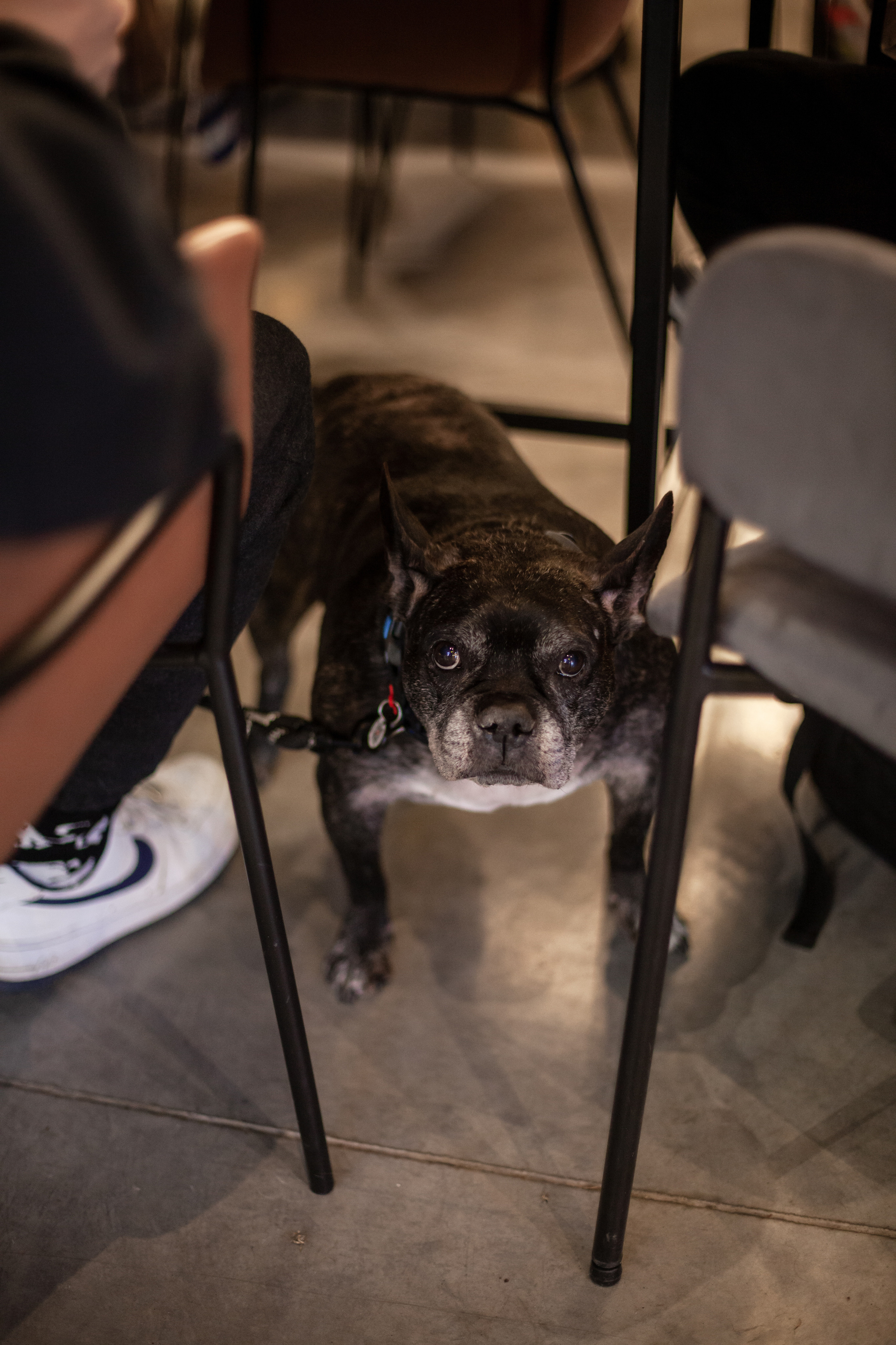 Бульелка 2022. Фотограф-анималист Татьяна Степанова