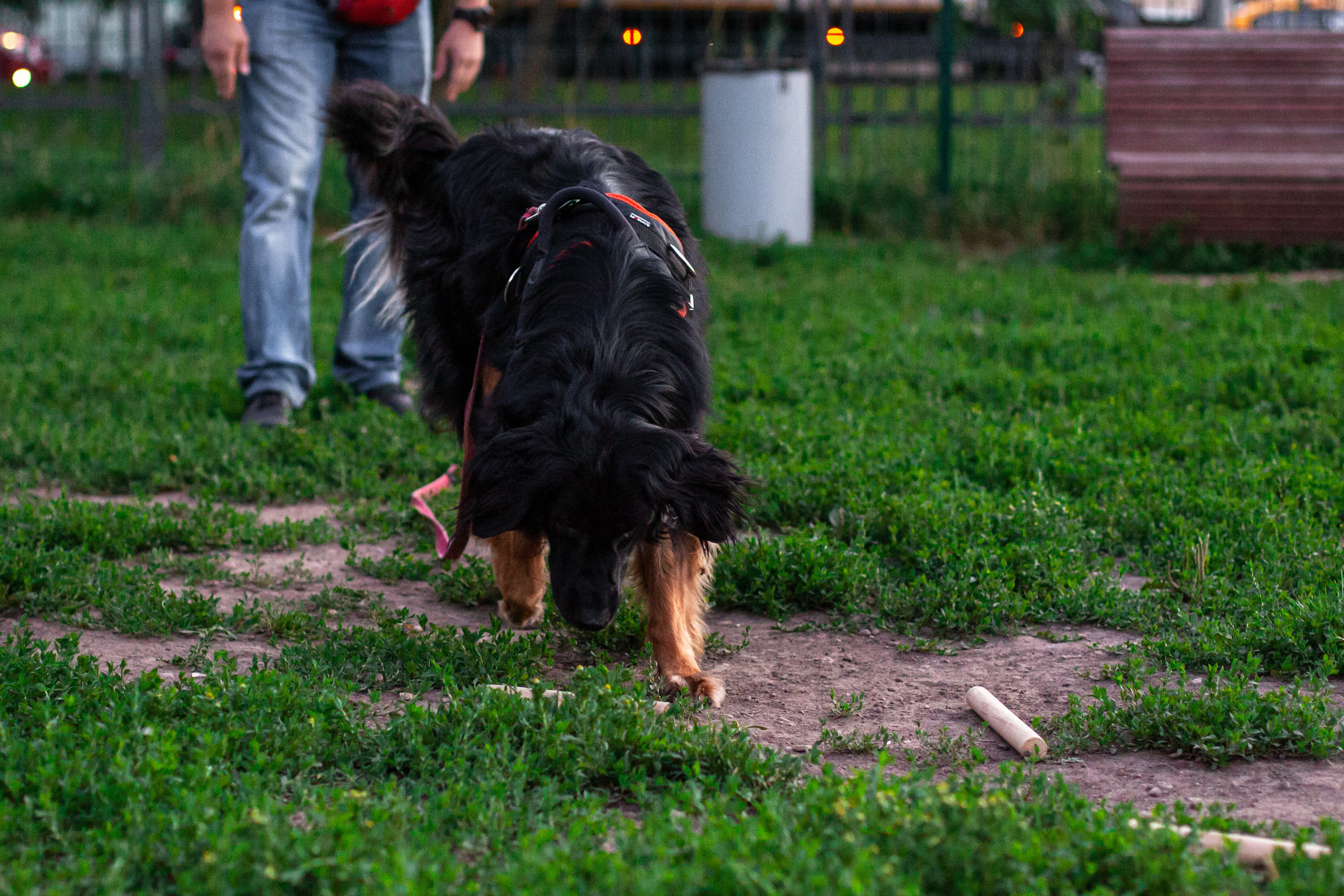 Занятие ЗКС+Выборка 2022. Фотограф-анималист Татьяна Степанова