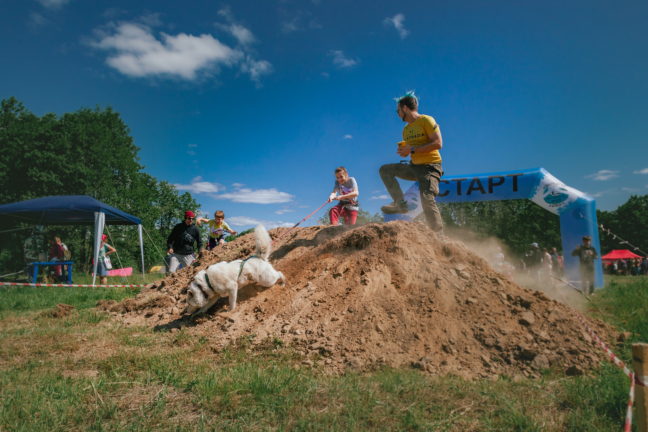 Хвостатый Драйв 11.06.2023. Фотограф-анималист Татьяна Степанова