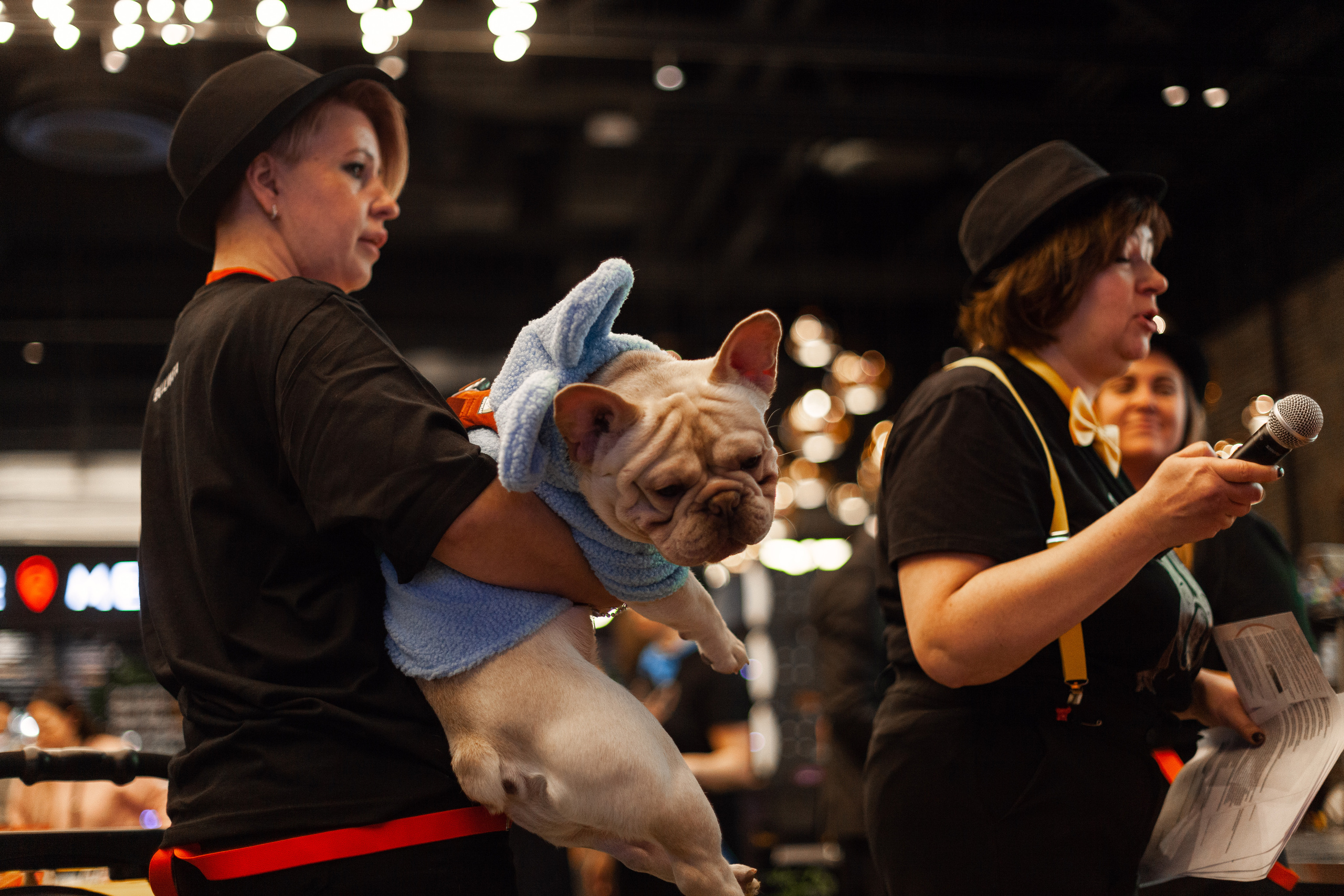 Бульелка 2022. Фотограф-анималист Татьяна Степанова