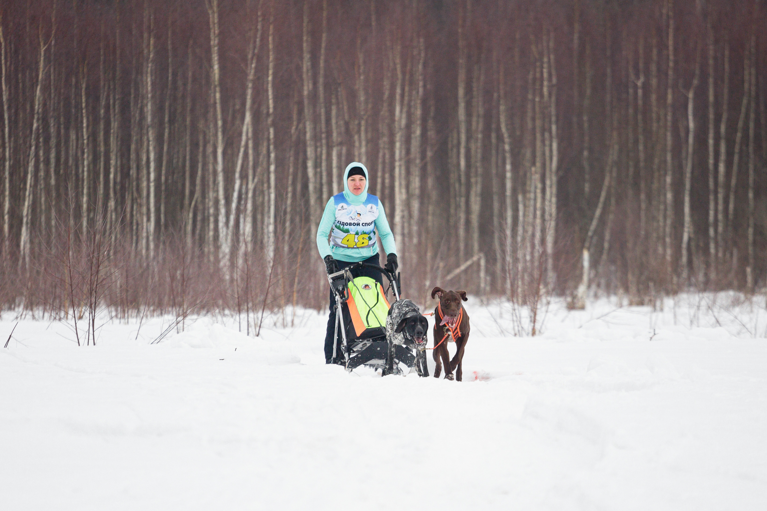 Холодные игры 28 февраля 2022. Фотограф-анималист Татьяна Степанова
