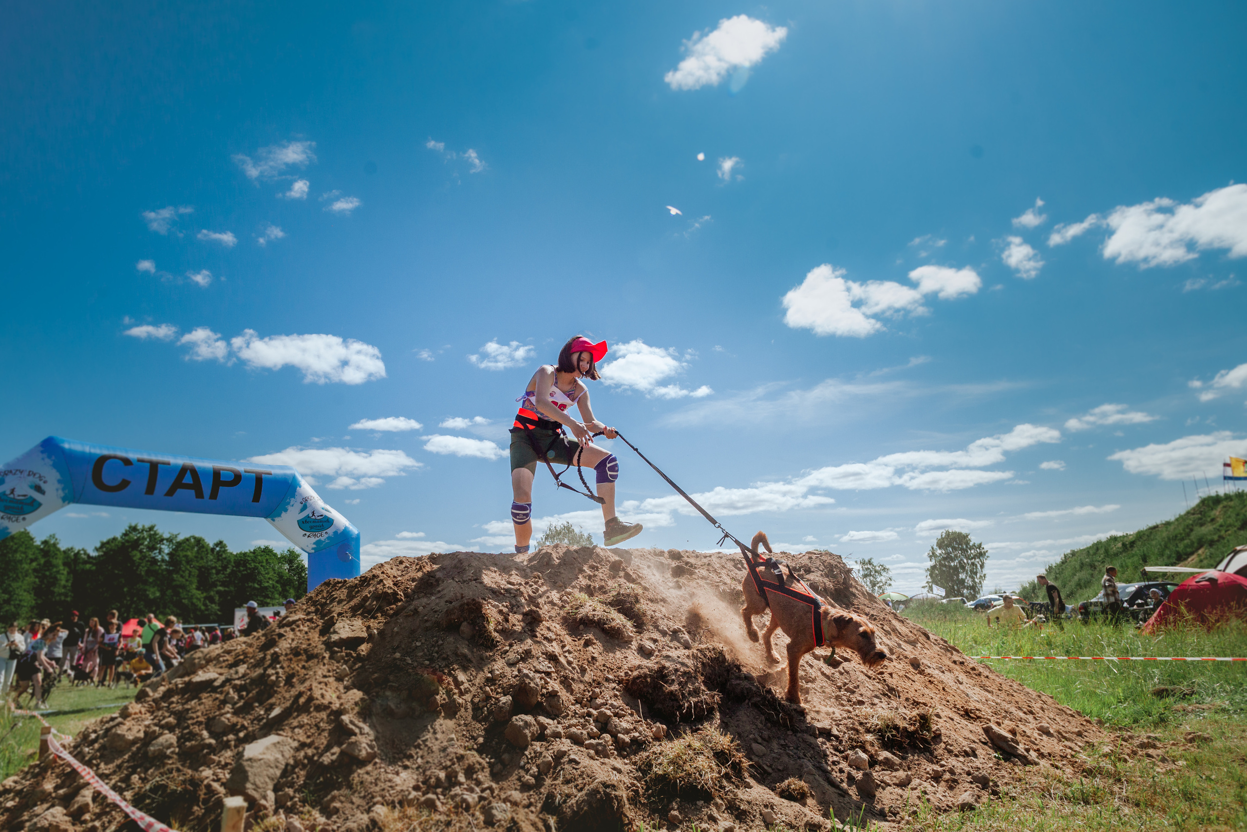 Хвостатый Драйв 11.06.2023. Фотограф-анималист Татьяна Степанова