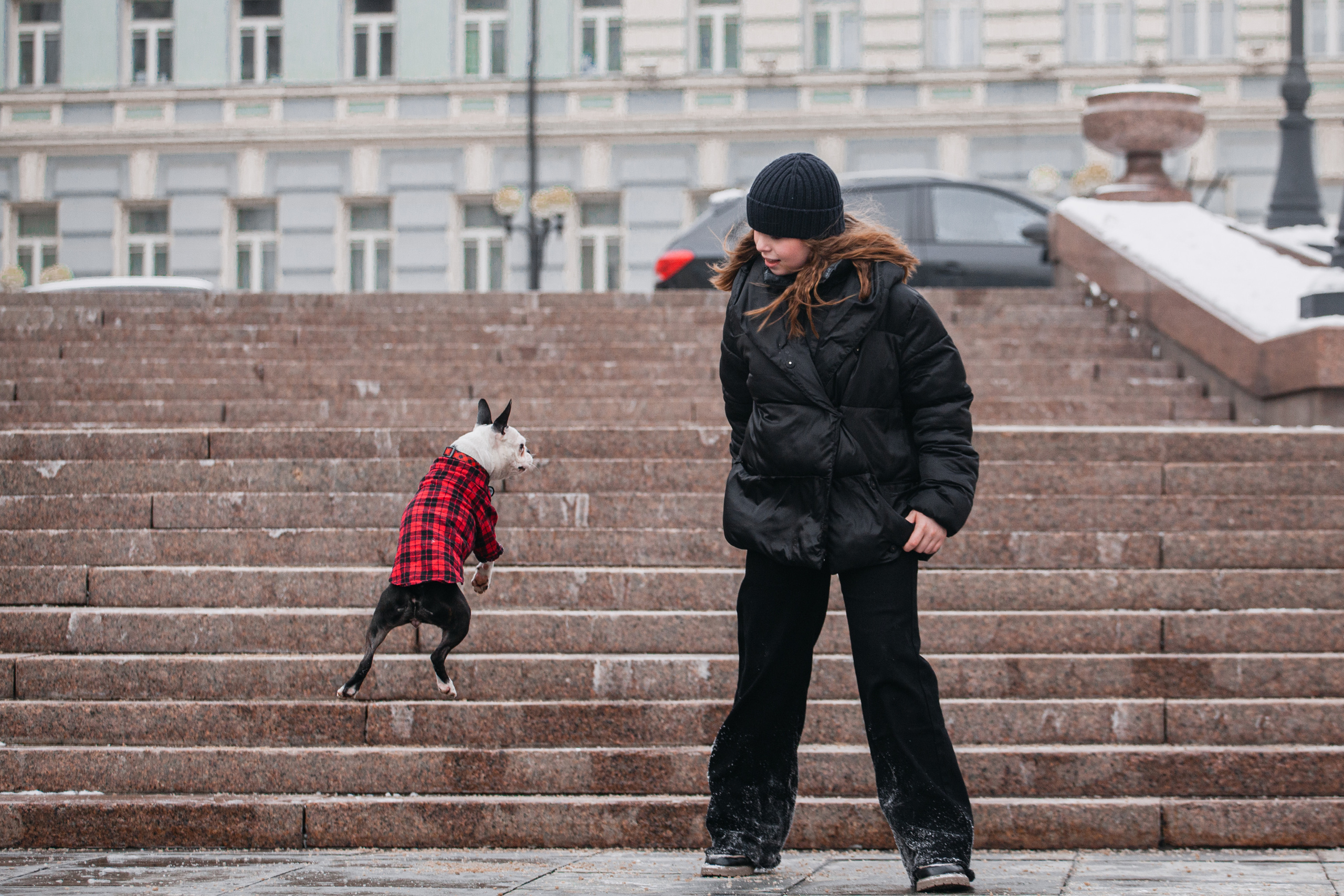 Василиса и Мира Кузнецкий мост. Фотограф-анималист Татьяна Степанова