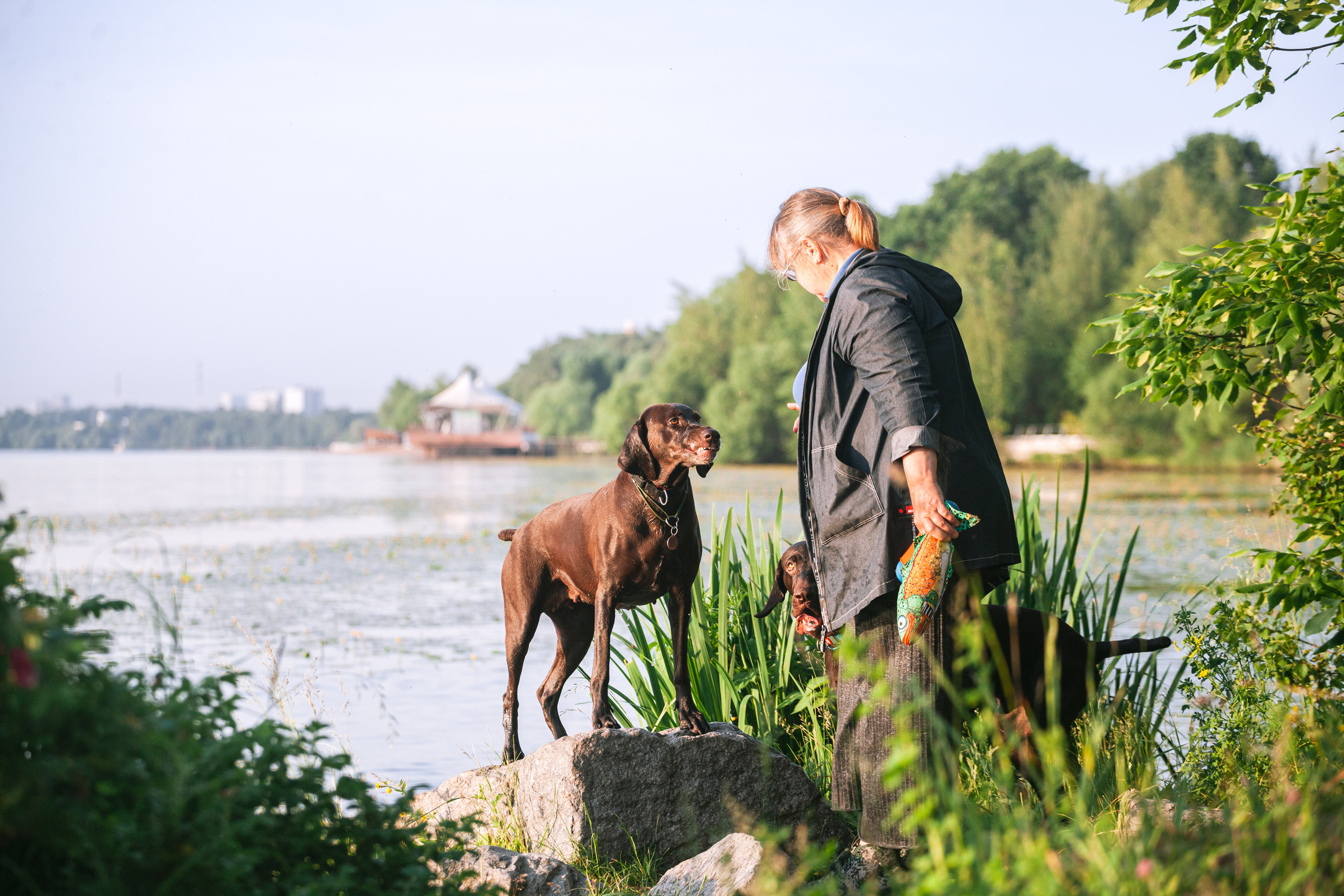Рассветная съемка в ПКИО Северное Тушино. Фотограф-анималист Татьяна Степанова
