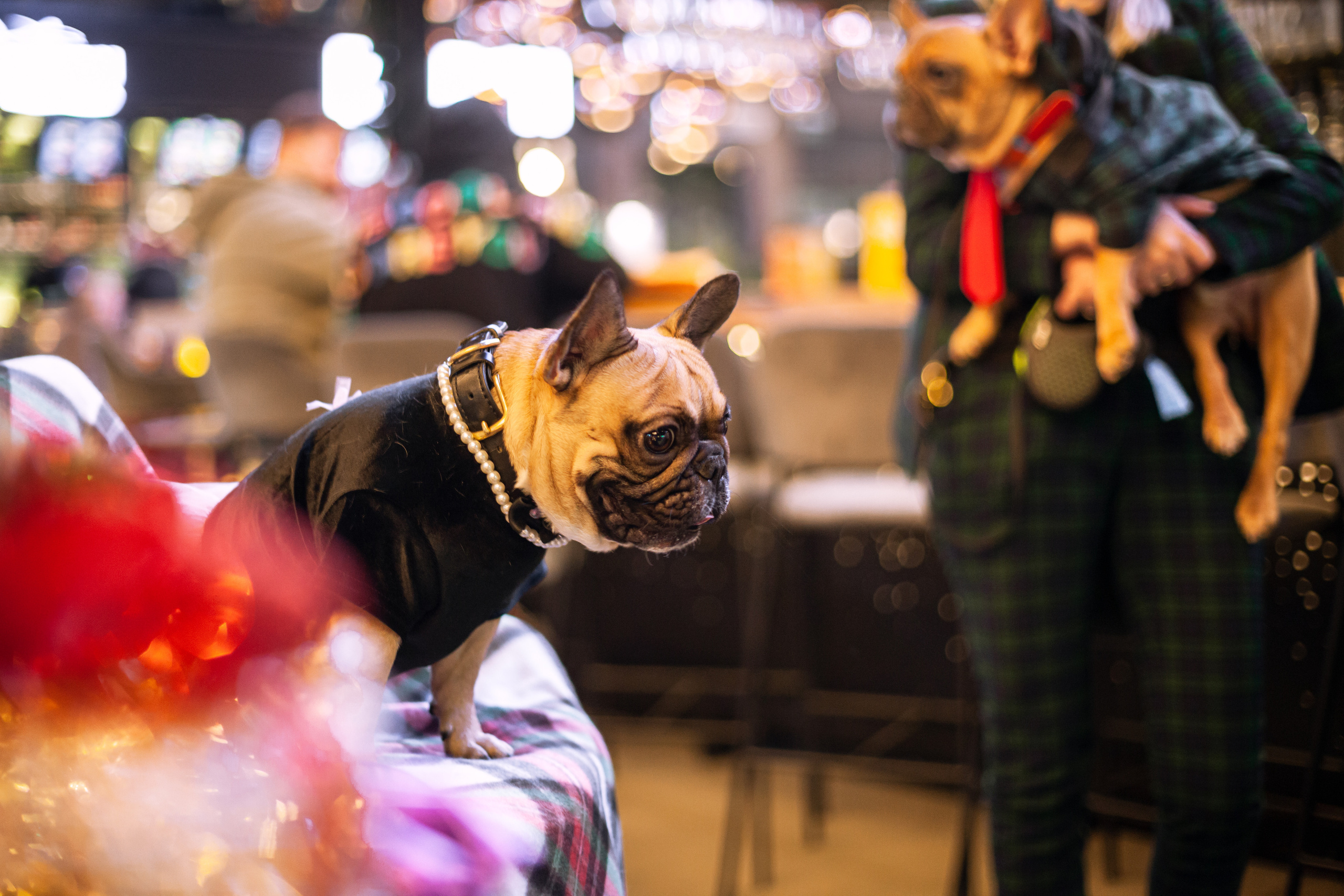 Бульелка 2022. Фотограф-анималист Татьяна Степанова