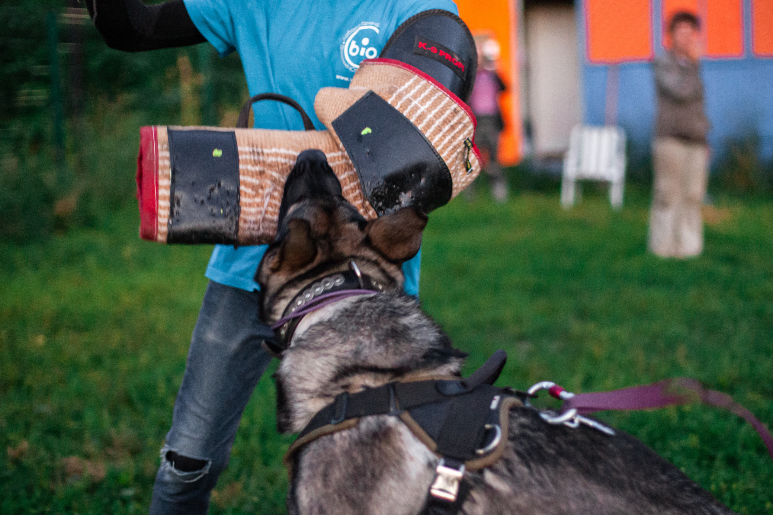 Занятие ЗКС+Выборка 2022. Фотограф-анималист Татьяна Степанова