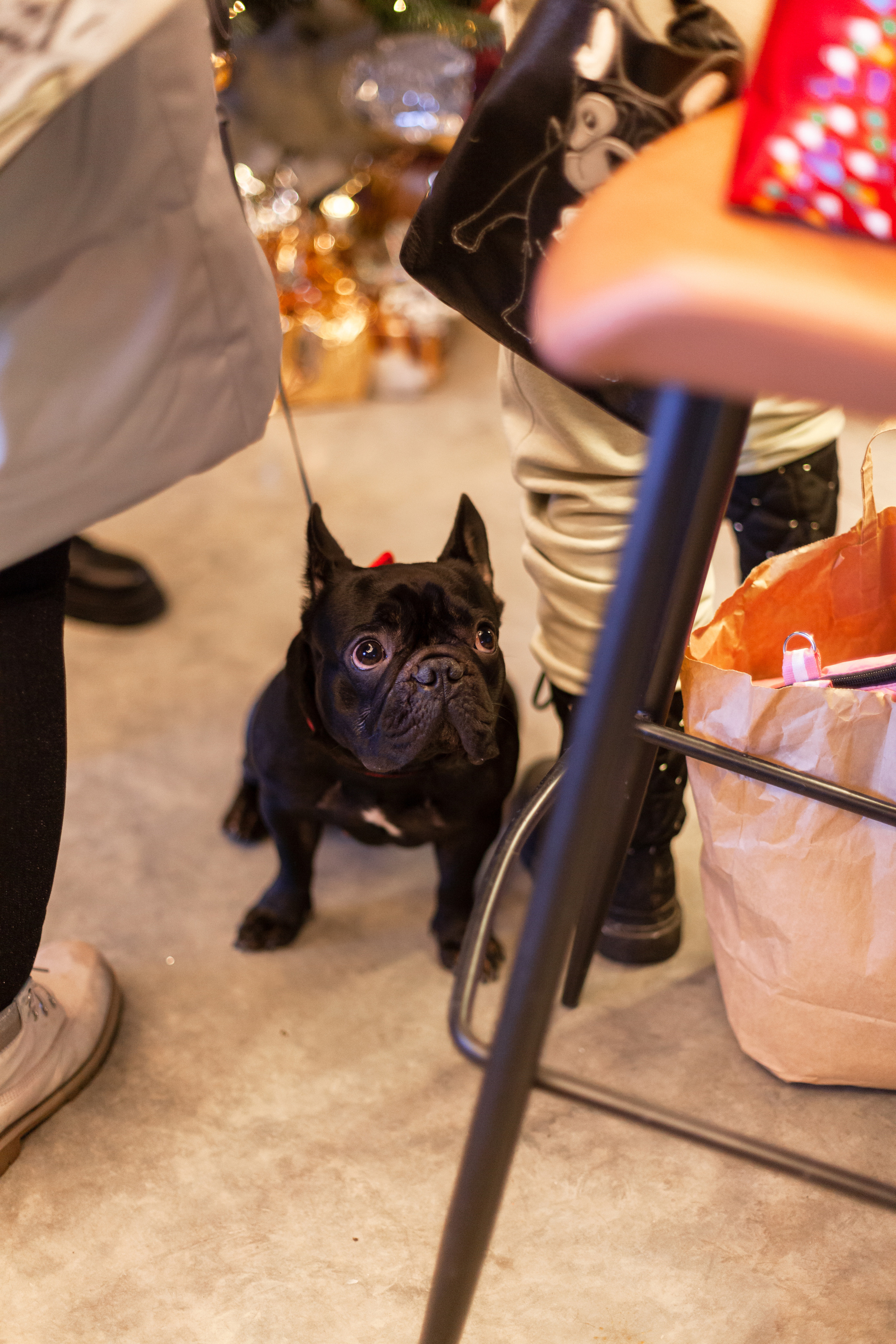 Бульелка 2022. Фотограф-анималист Татьяна Степанова