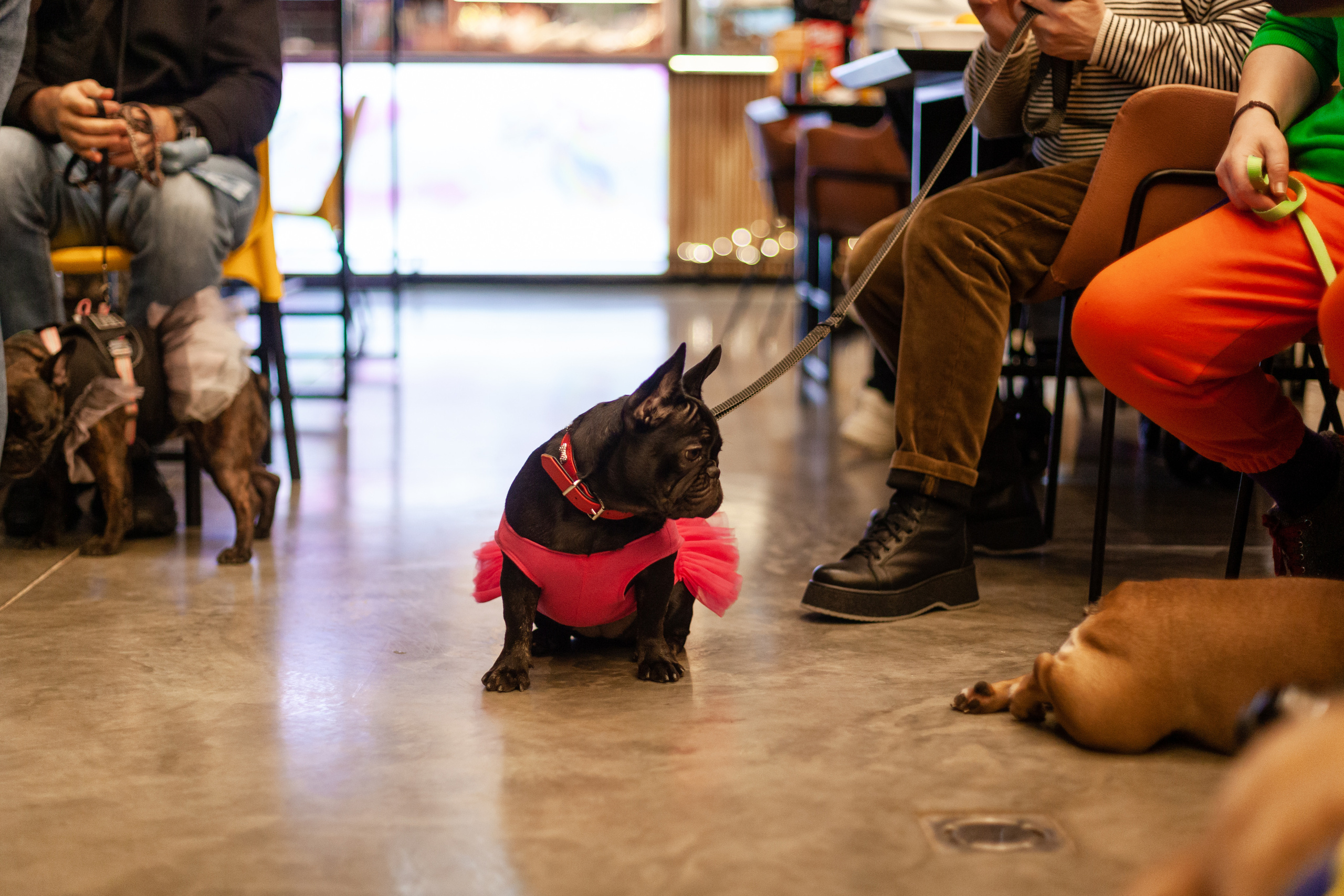 Бульелка 2022. Фотограф-анималист Татьяна Степанова