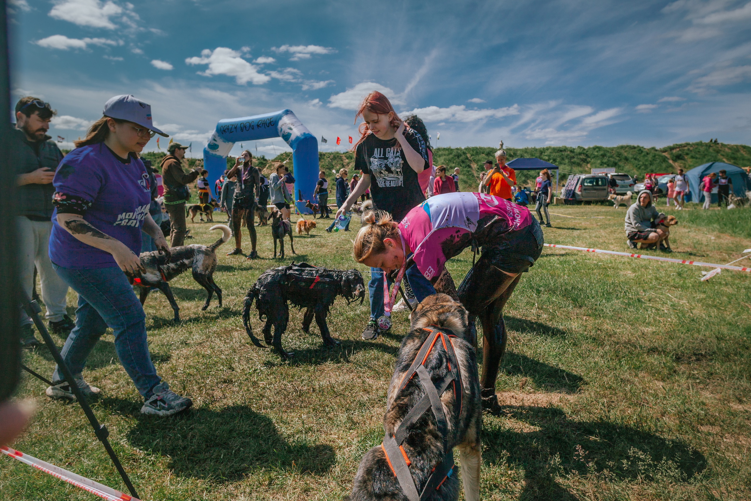 Хвостатый Драйв 11.06.2023. Фотограф-анималист Татьяна Степанова