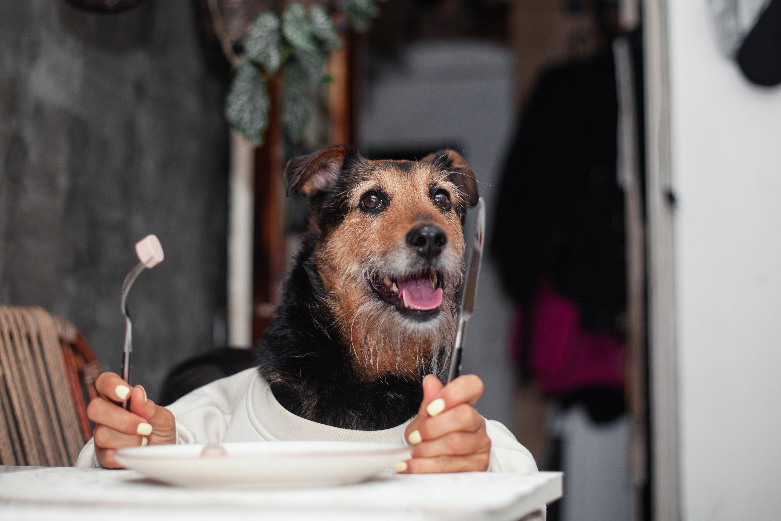 Лиза и Бренда. Фотограф-анималист Татьяна Степанова