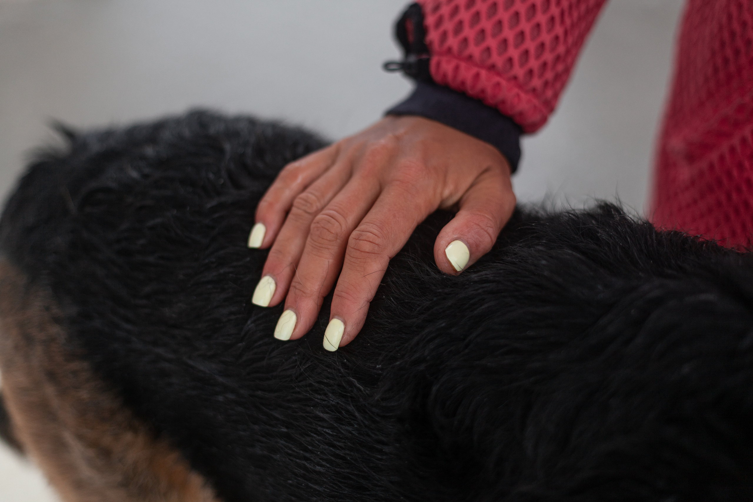 Лиза и Бренда. Фотограф-анималист Татьяна Степанова