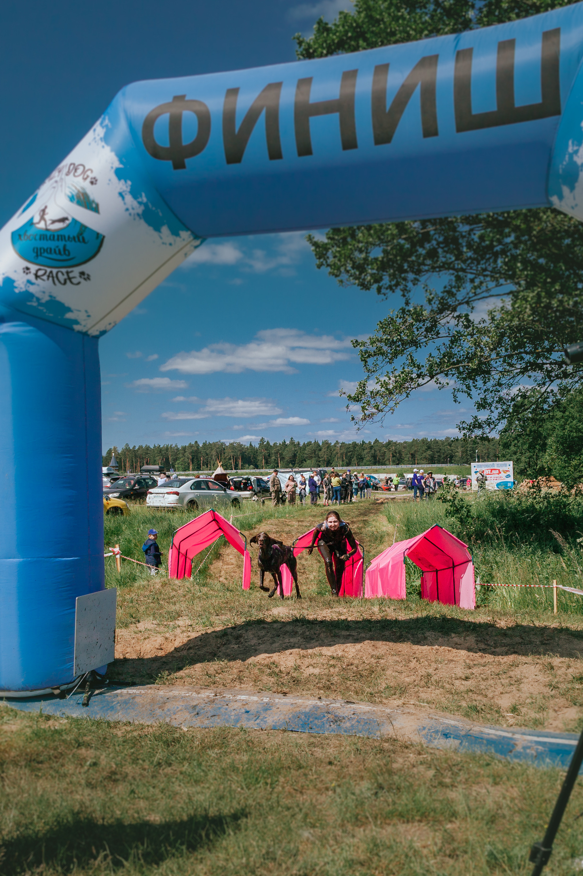 Хвостатый Драйв 11.06.2023. Фотограф-анималист Татьяна Степанова