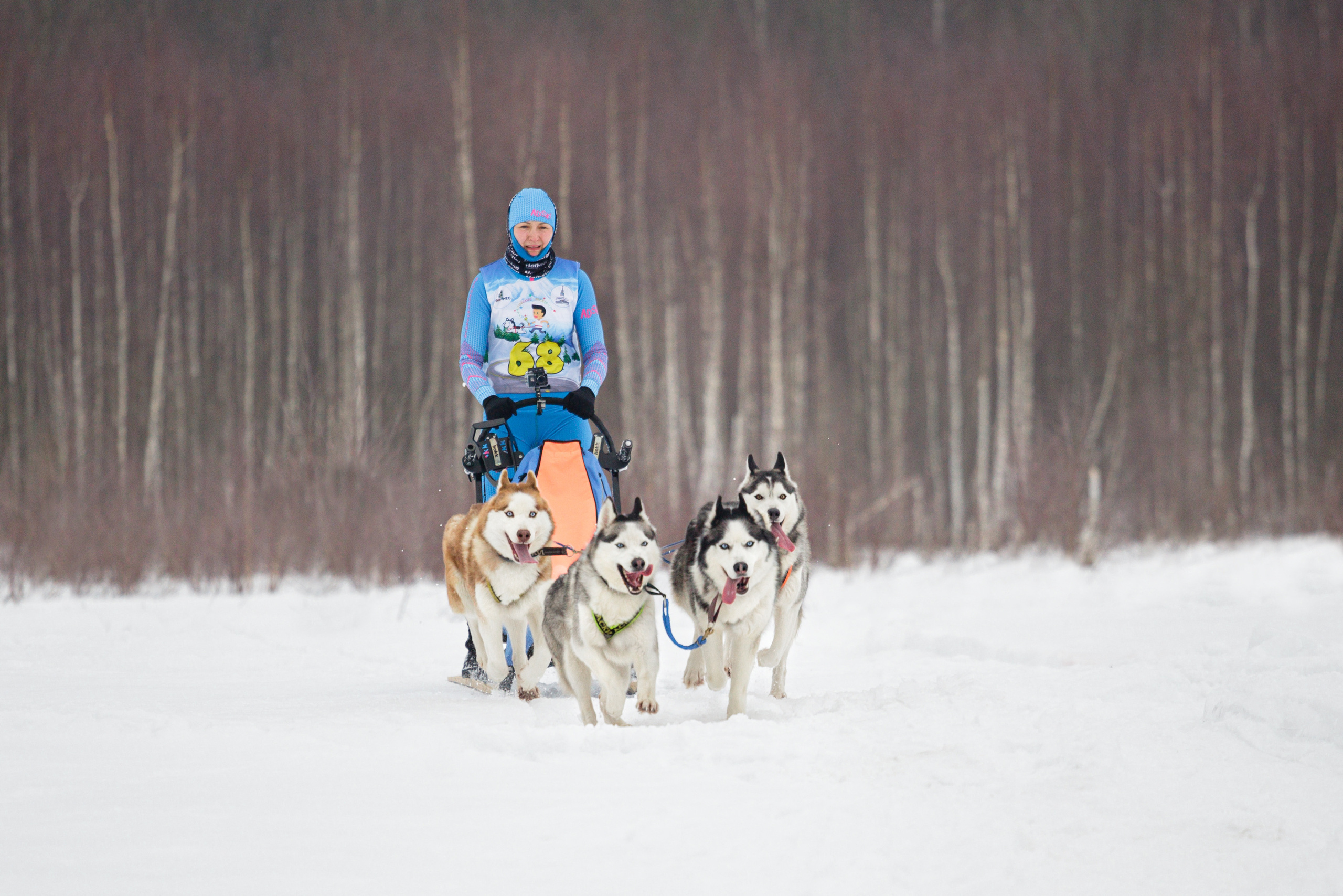 Холодные игры 28 февраля 2022. Фотограф-анималист Татьяна Степанова