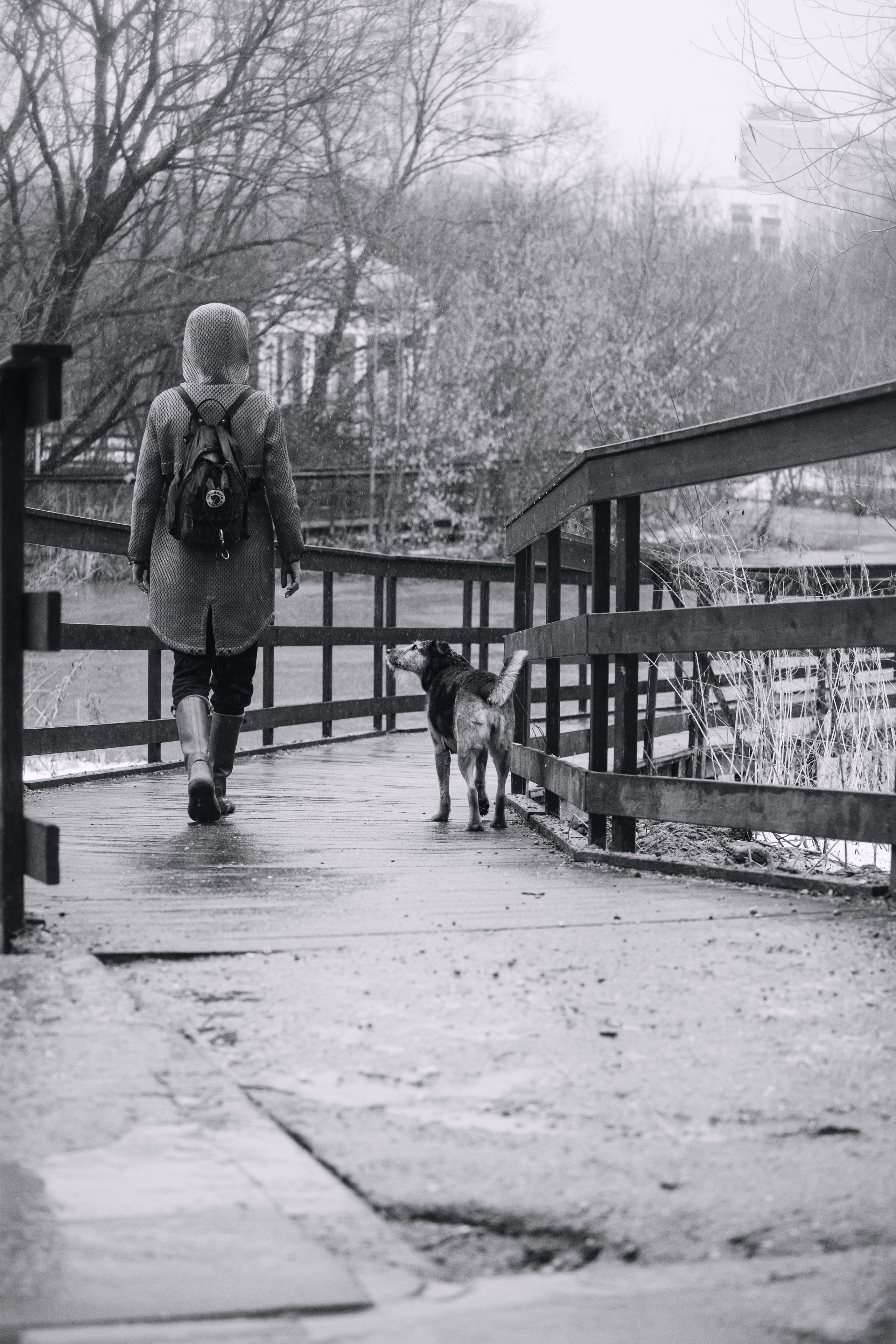 Лиза и Бренда. Фотограф-анималист Татьяна Степанова