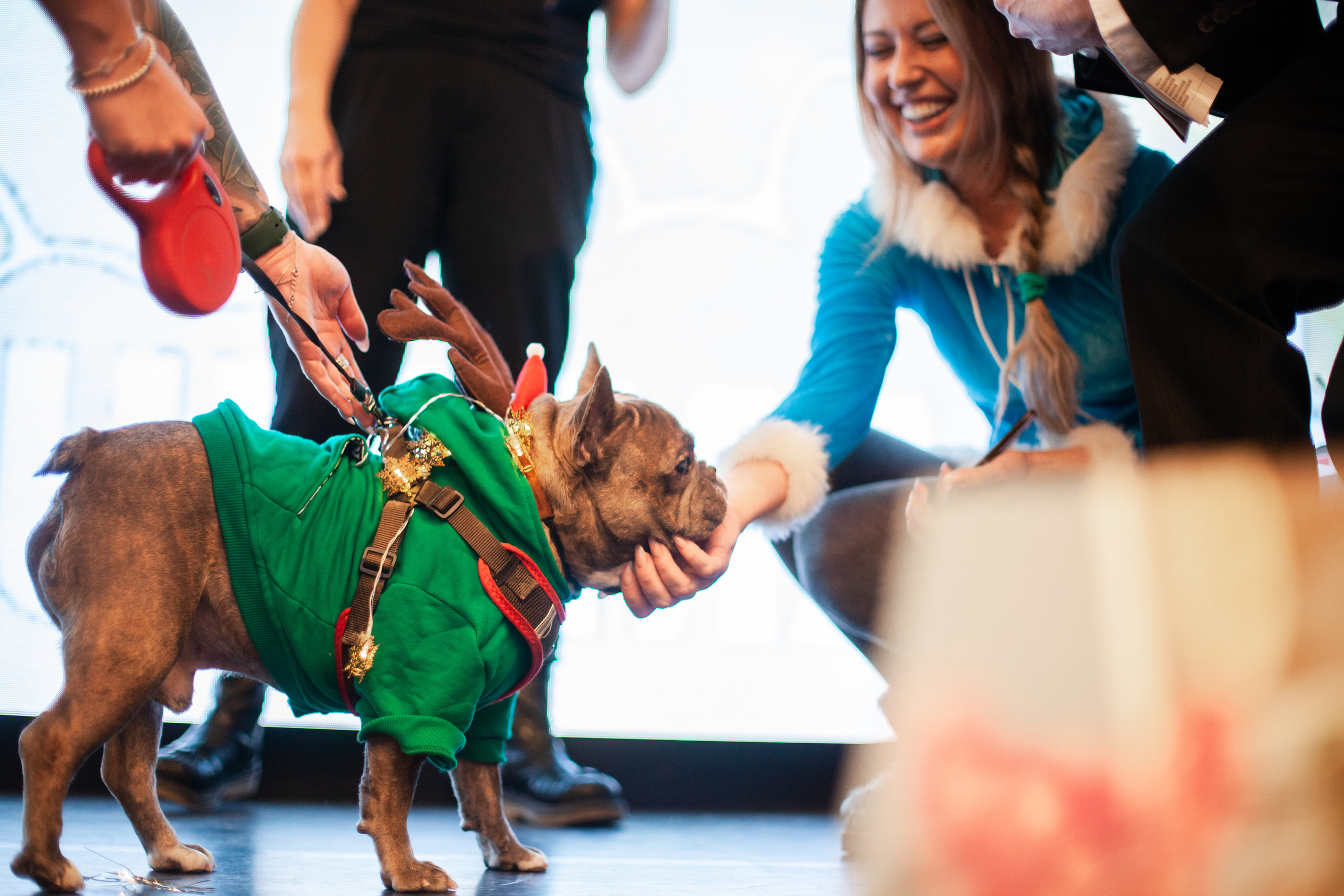 Бульелка 2022. Фотограф-анималист Татьяна Степанова