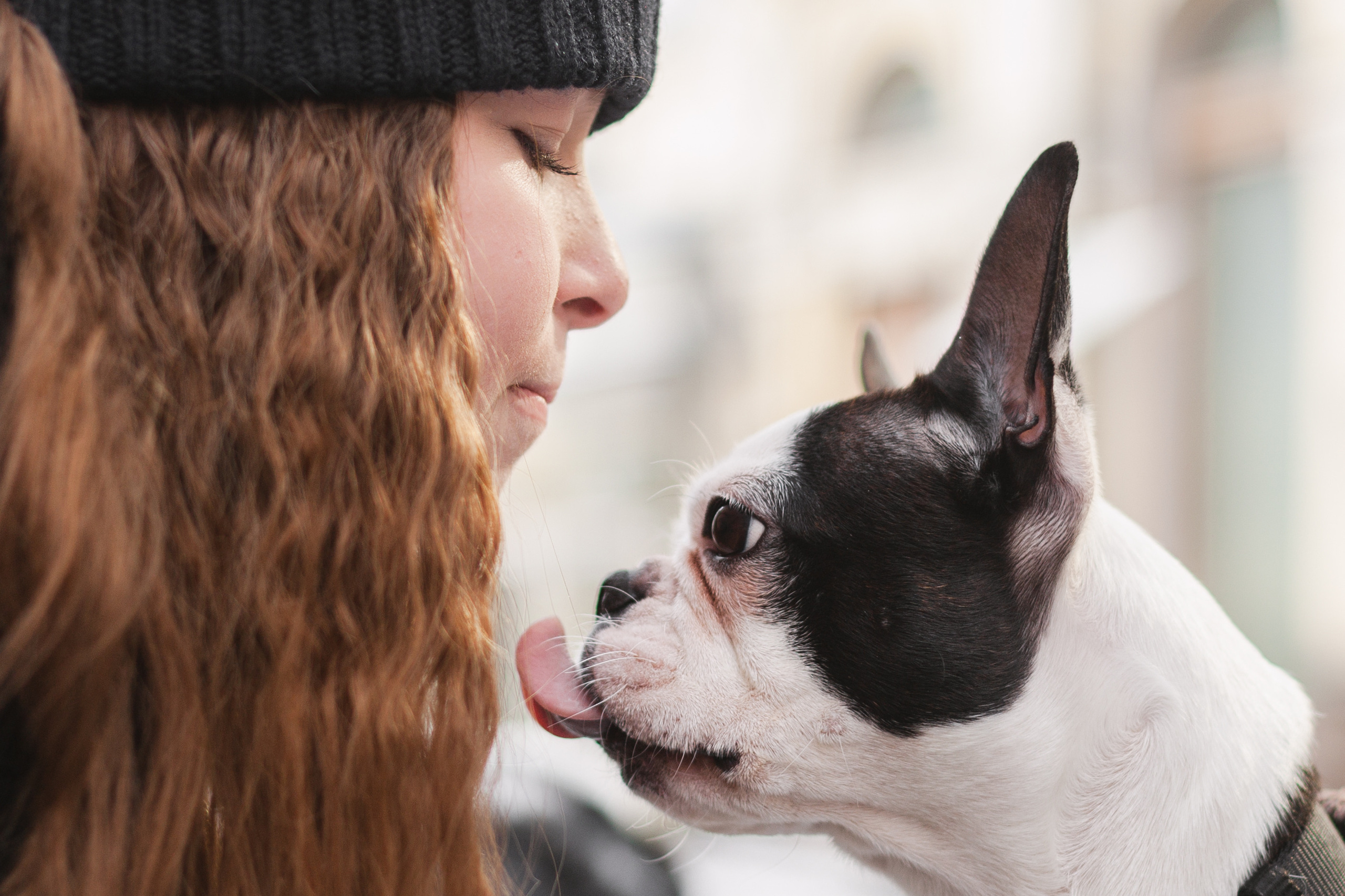 Василиса и Мира Кузнецкий мост. Фотограф-анималист Татьяна Степанова