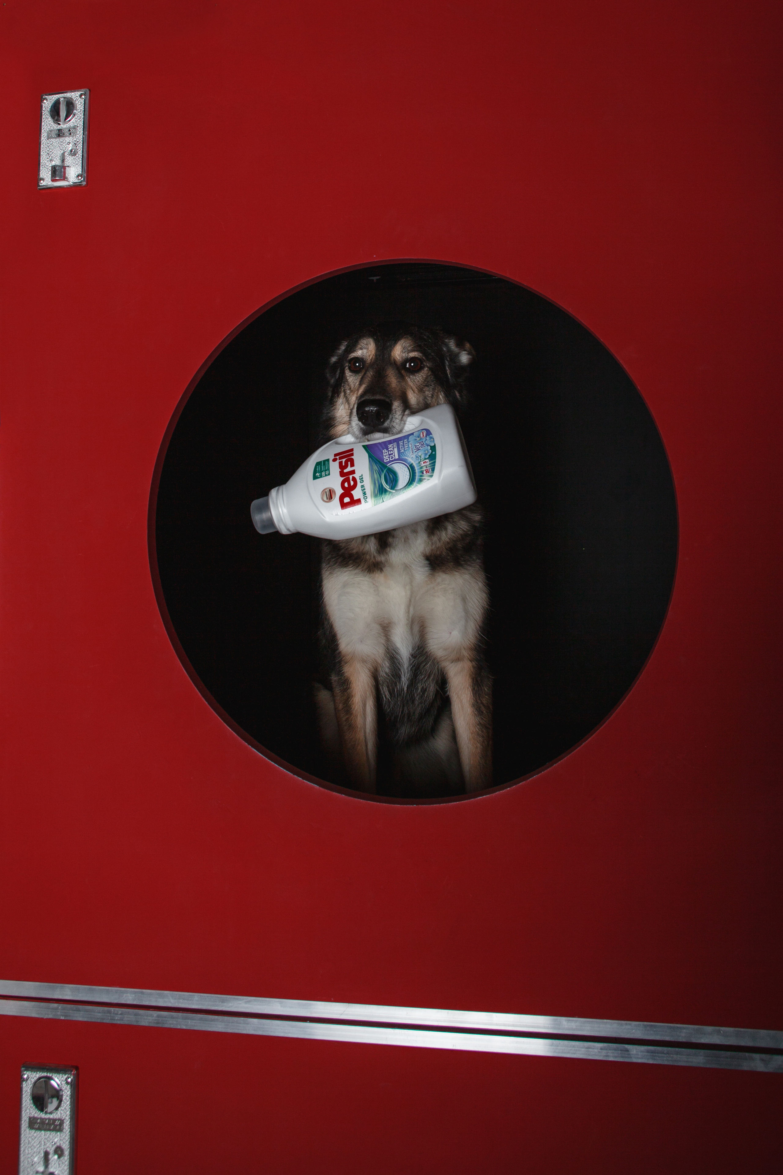 Света и Богдана. Фотограф-анималист Татьяна Степанова