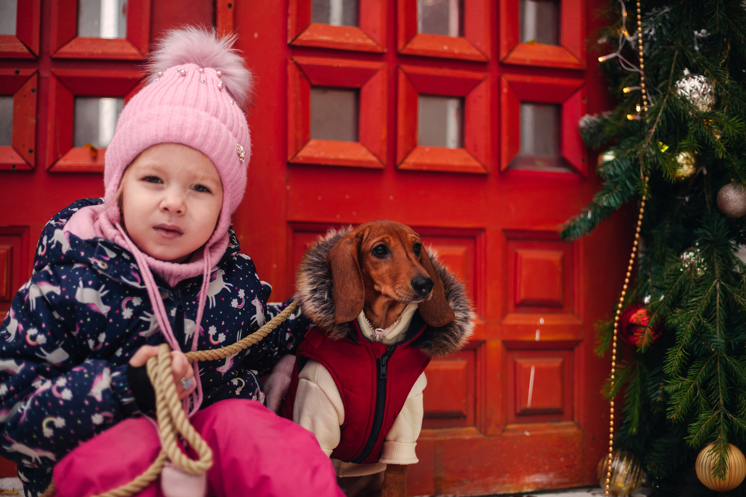 Новогодняя серия с ретромашиной. Фотограф-анималист Татьяна Степанова
