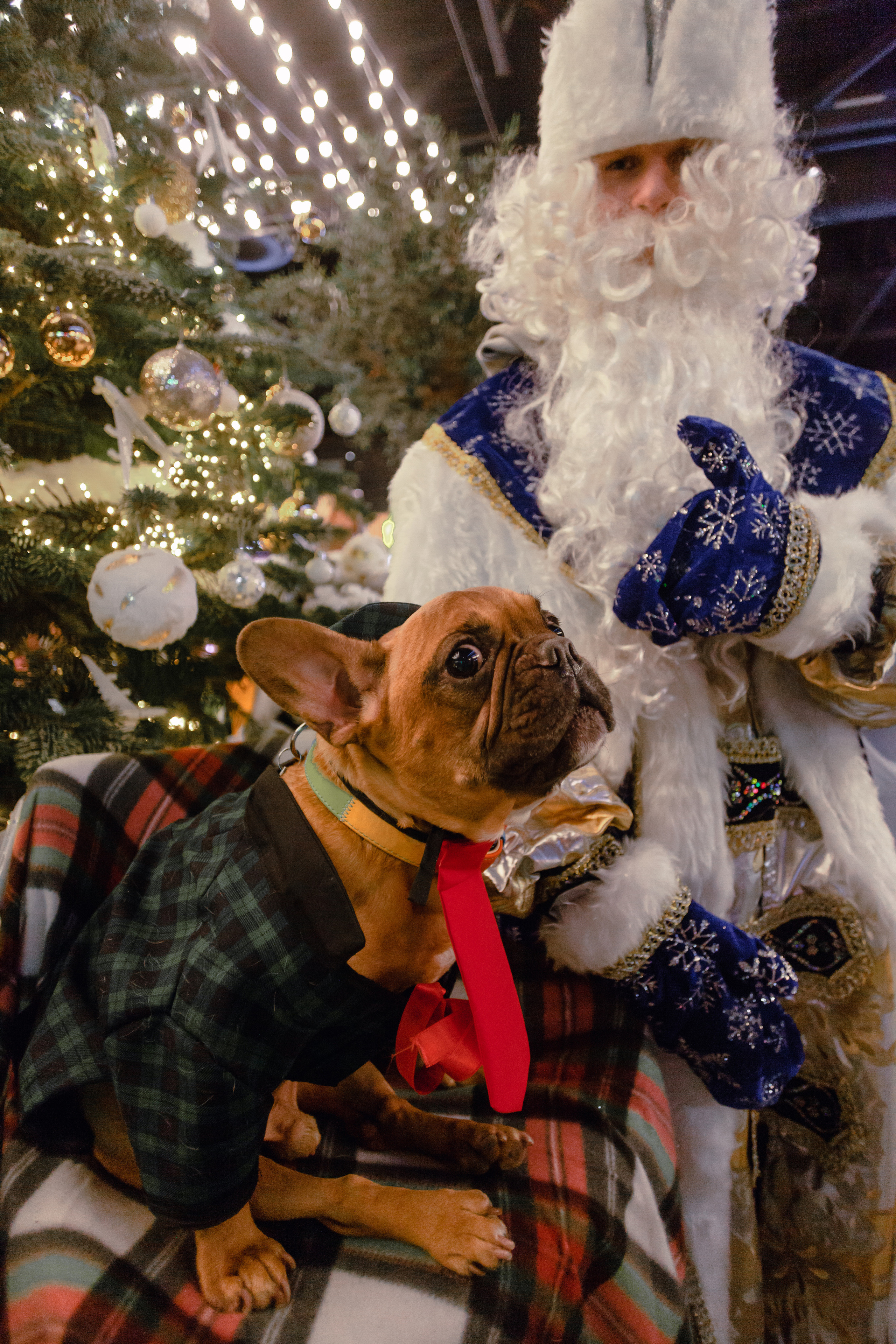 Бульелка 2022. Фотограф-анималист Татьяна Степанова