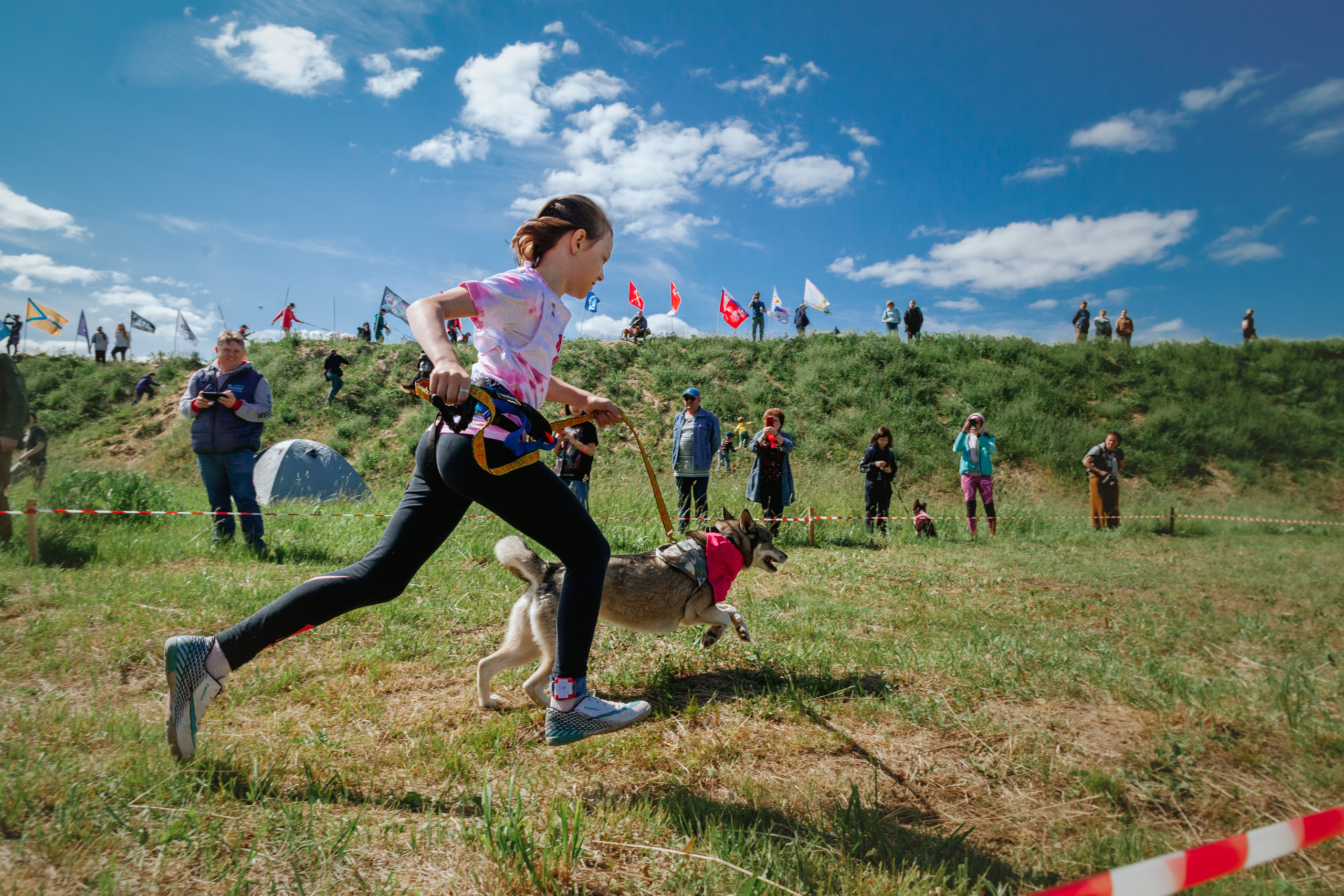 Хвостатый Драйв 11.06.2023. Фотограф-анималист Татьяна Степанова