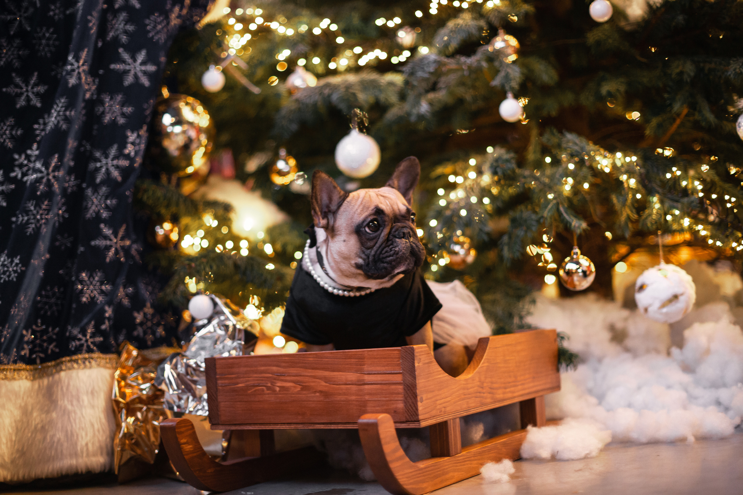 Бульелка 2022. Фотограф-анималист Татьяна Степанова