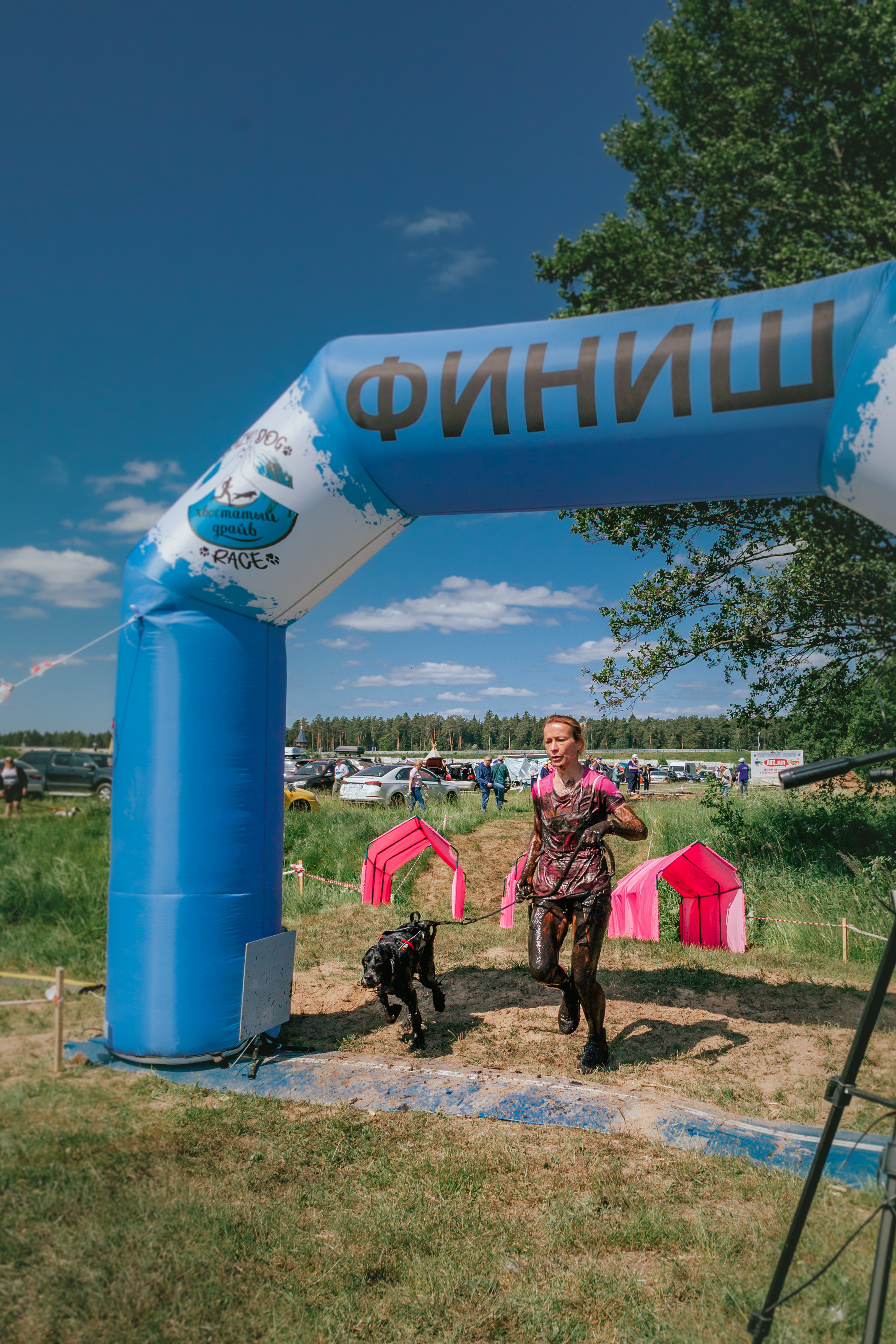 Хвостатый Драйв 11.06.2023. Фотограф-анималист Татьяна Степанова