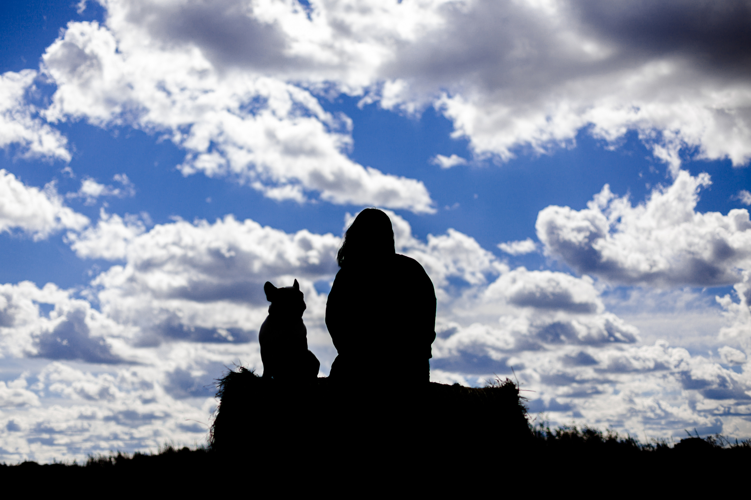 Коломна, стога и подсолнухи. Фотограф-анималист Татьяна Степанова