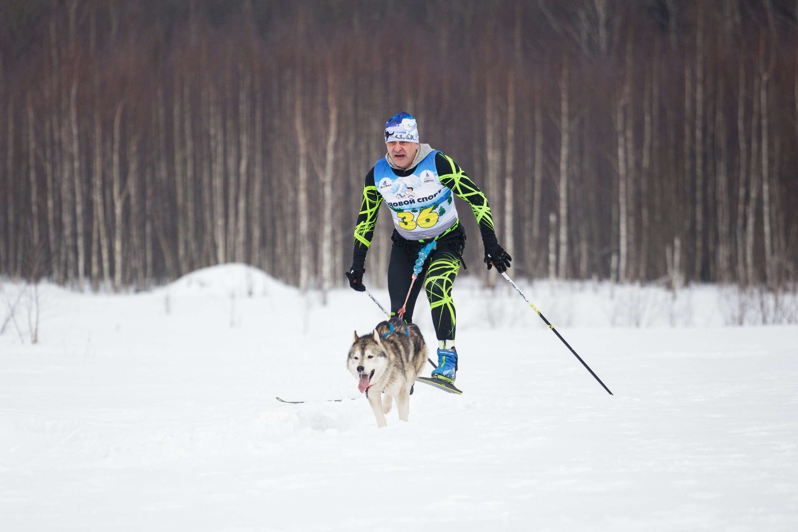 Холодные игры 28 февраля 2022. Фотограф-анималист Татьяна Степанова