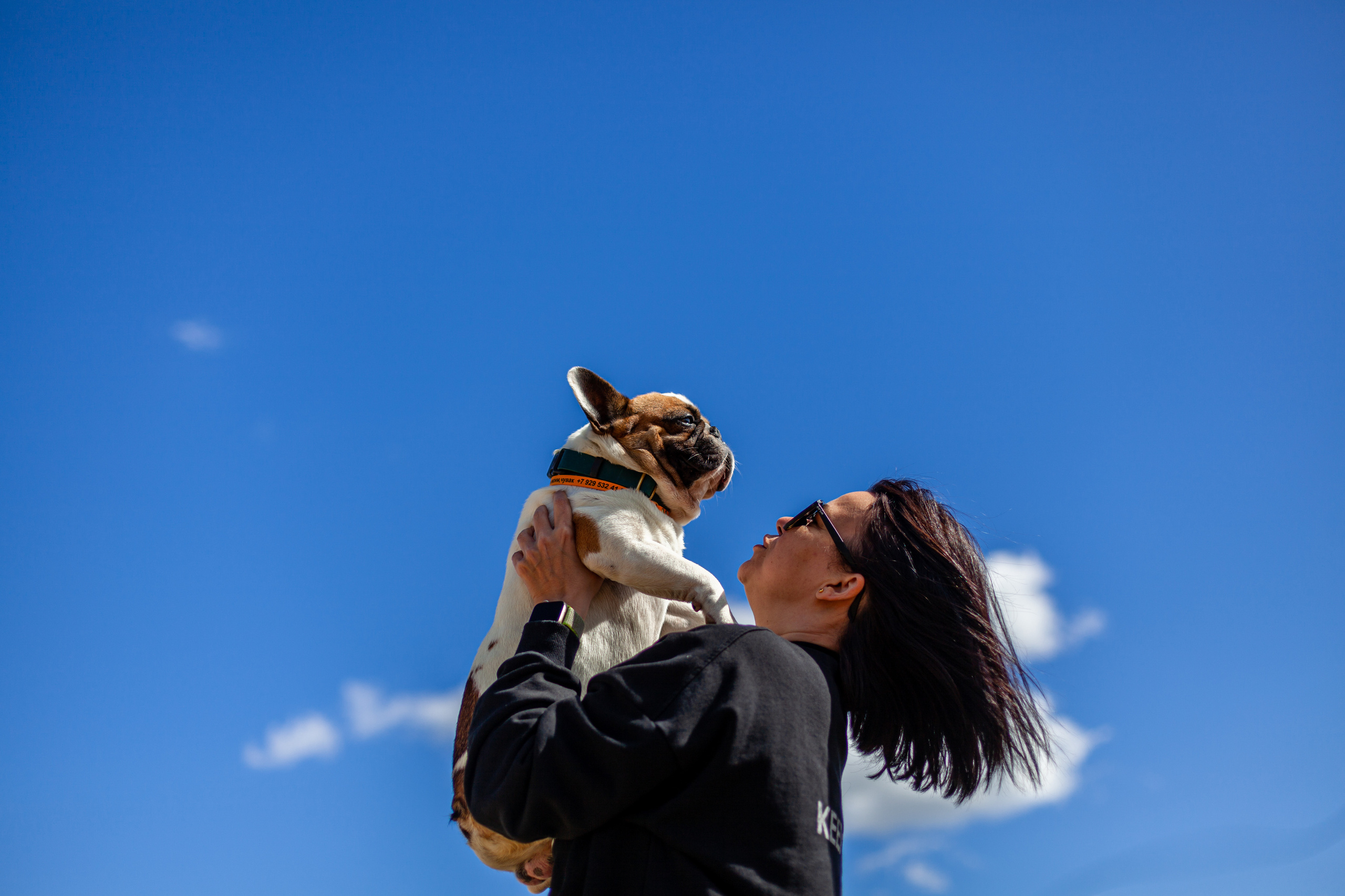 Коломна, стога и подсолнухи. Фотограф-анималист Татьяна Степанова