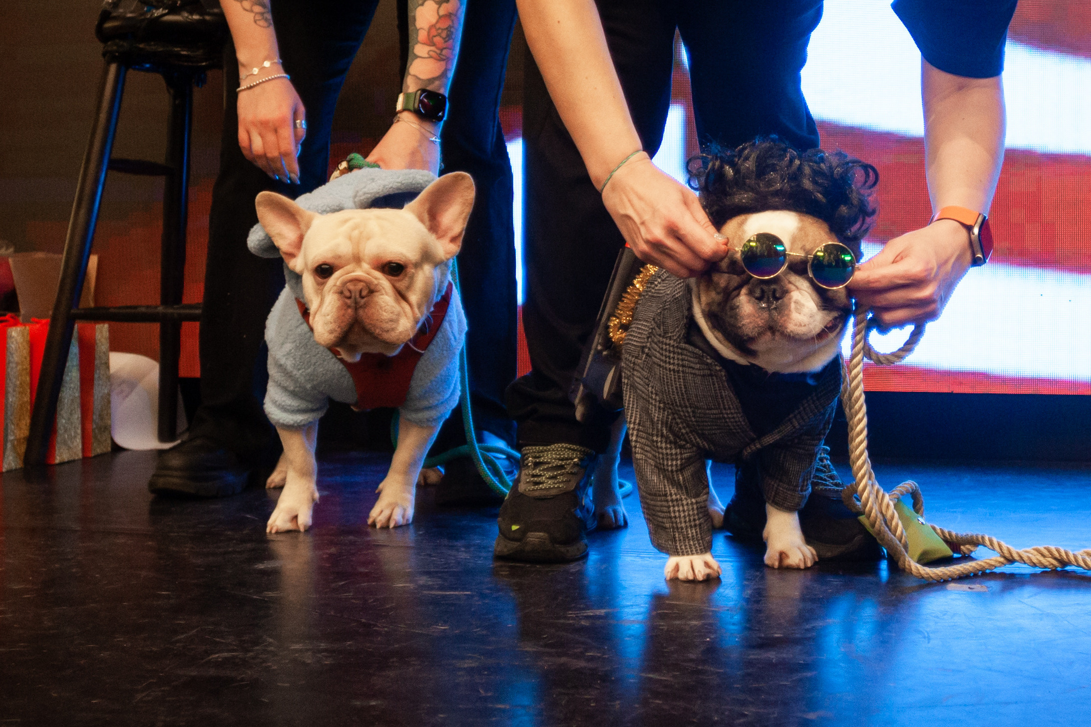 Бульелка 2022. Фотограф-анималист Татьяна Степанова