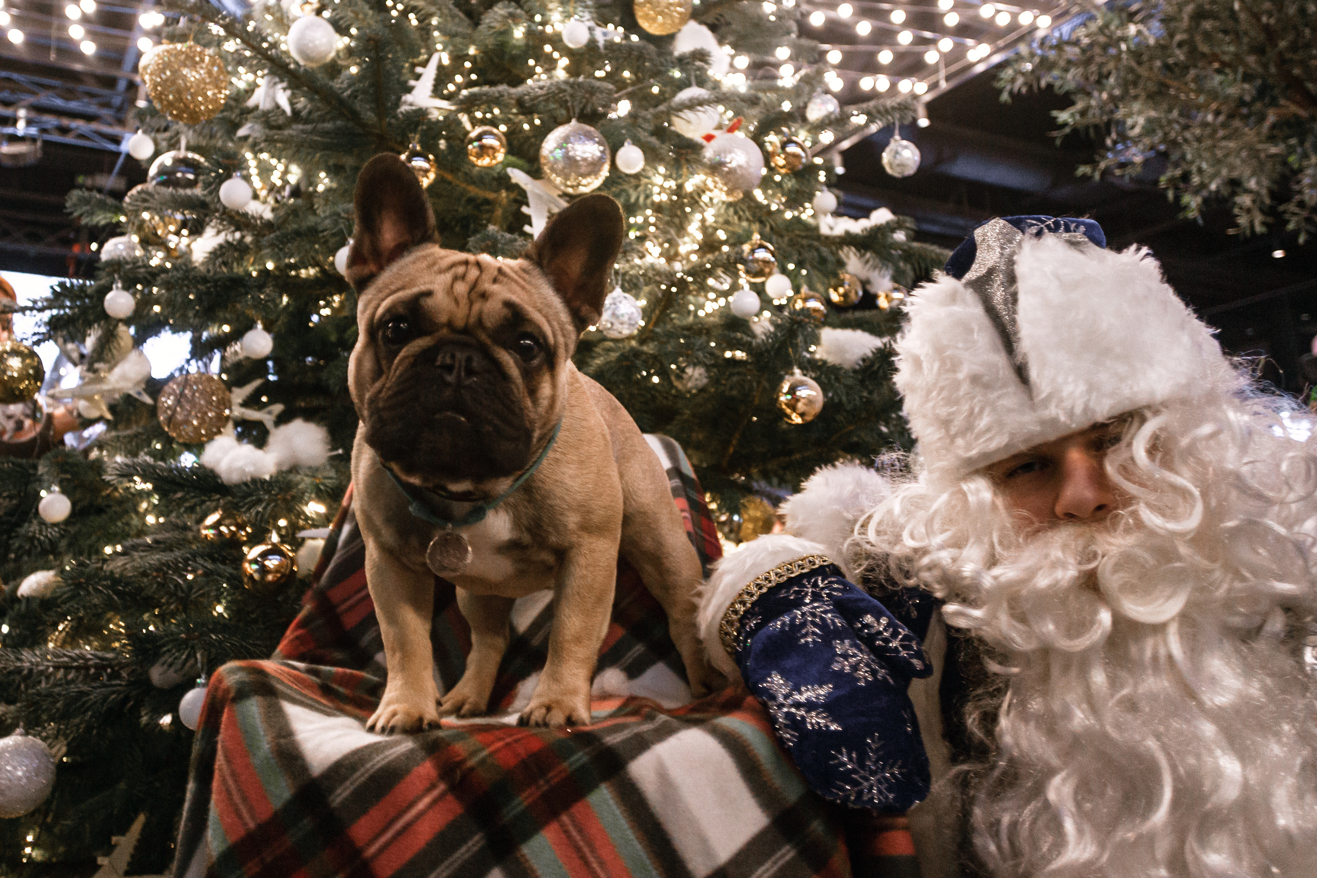 Бульелка 2022. Фотограф-анималист Татьяна Степанова