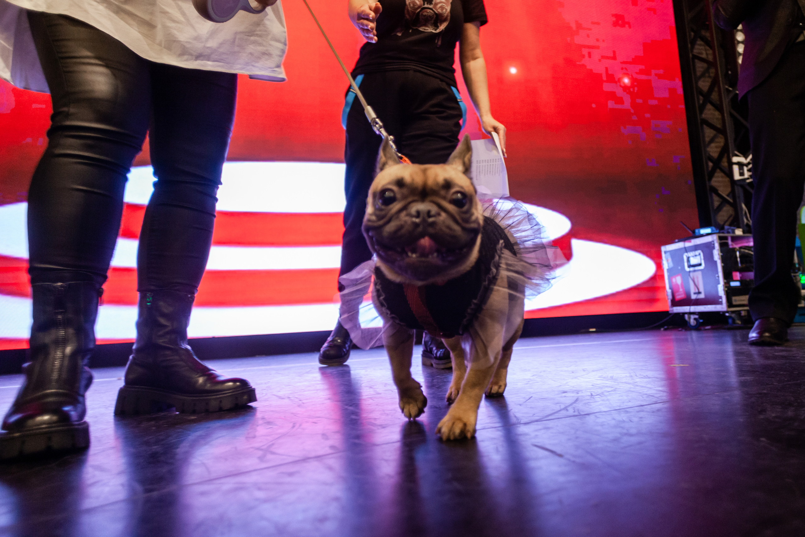 Бульелка 2022. Фотограф-анималист Татьяна Степанова