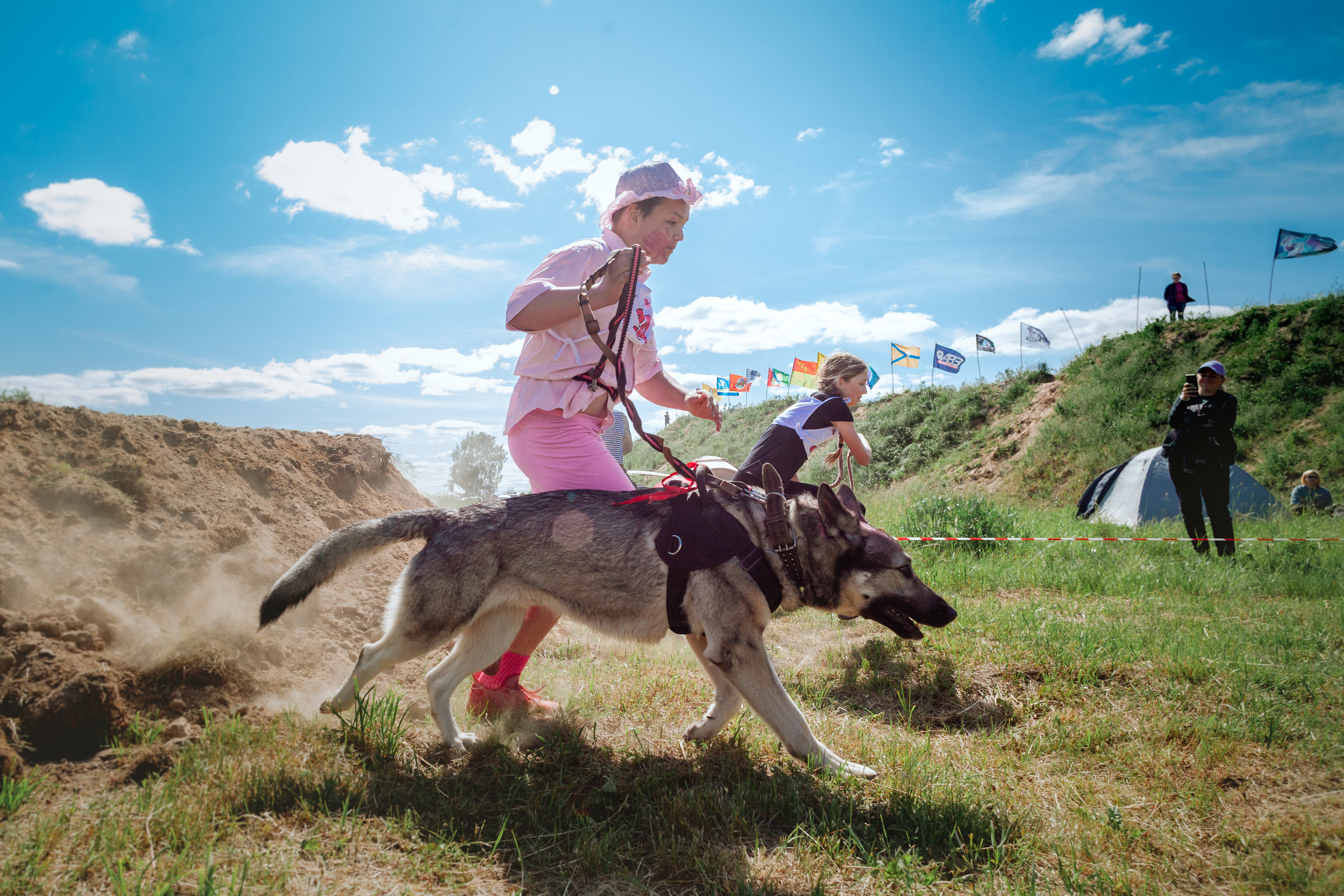 Хвостатый Драйв 11.06.2023. Фотограф-анималист Татьяна Степанова
